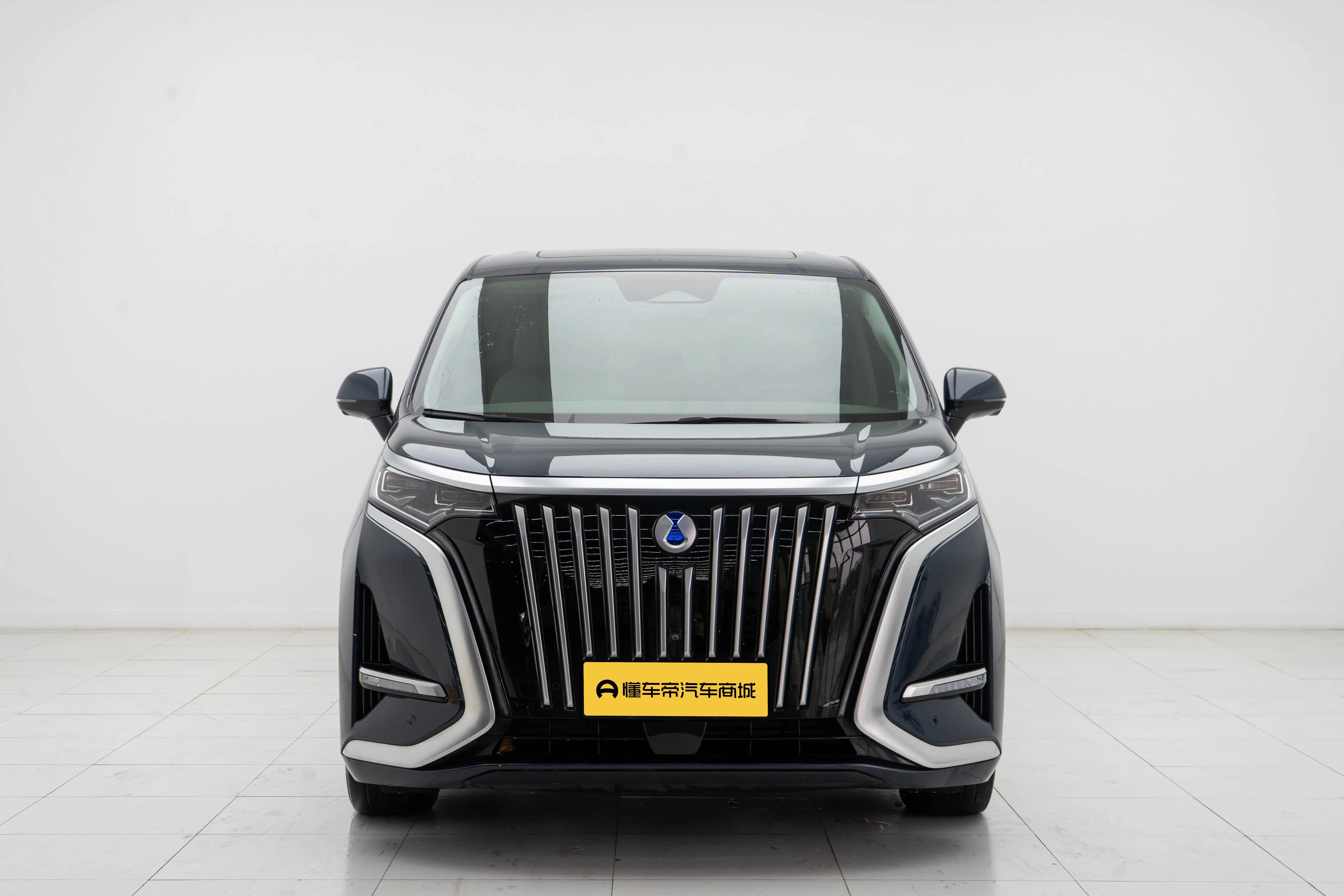 Denza D9 EV  из Китая