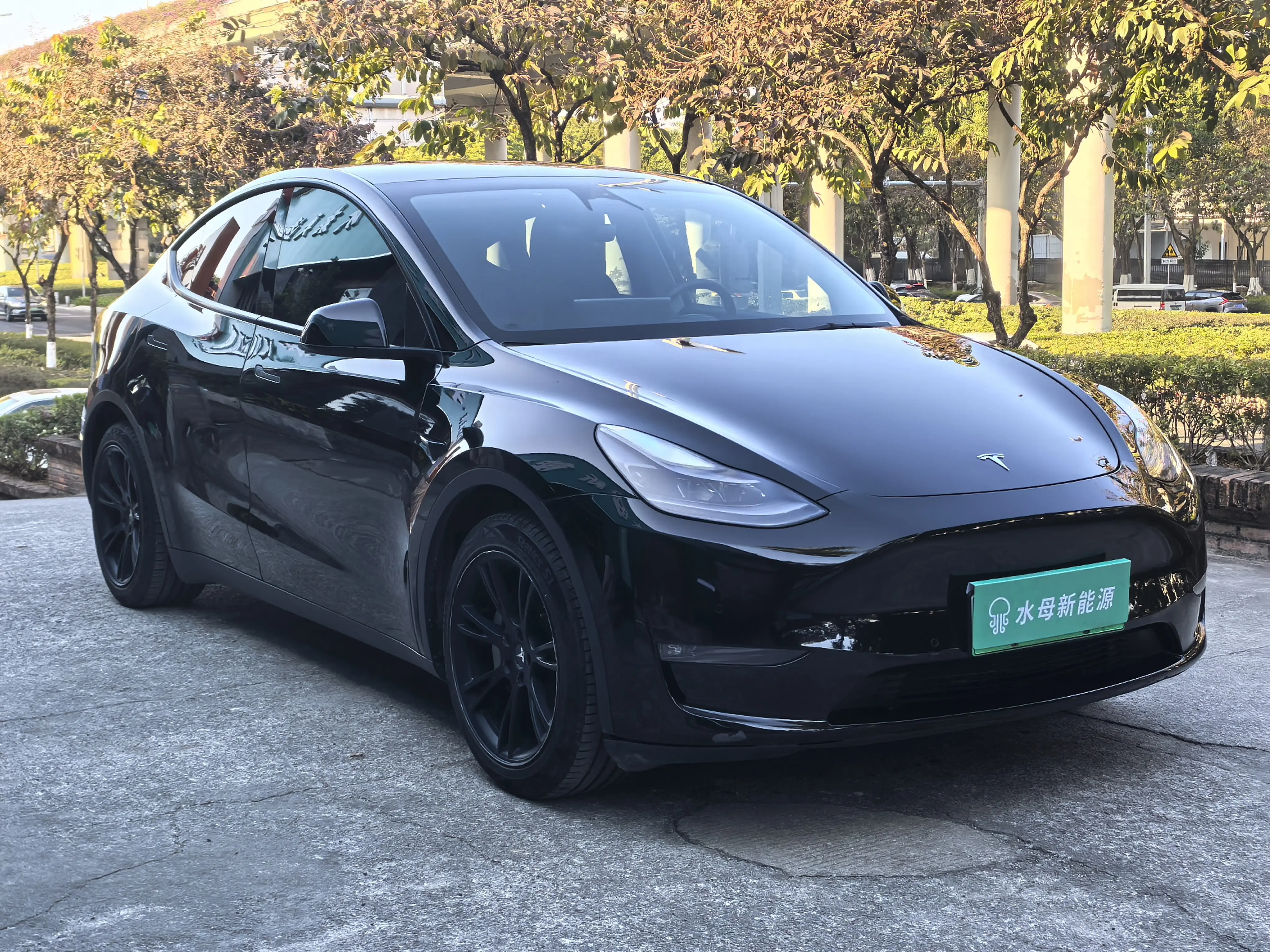 Tesla Model Y  из Китая