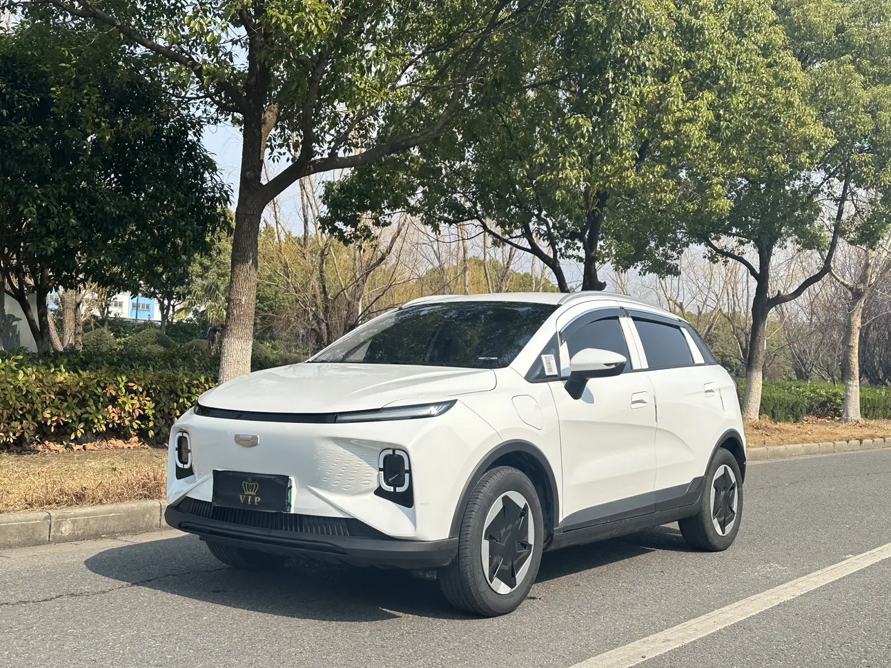 Geely Geometry E Firefly  из Китая