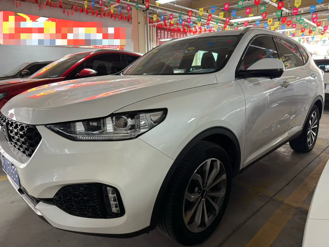 Wey Wei brand VV6