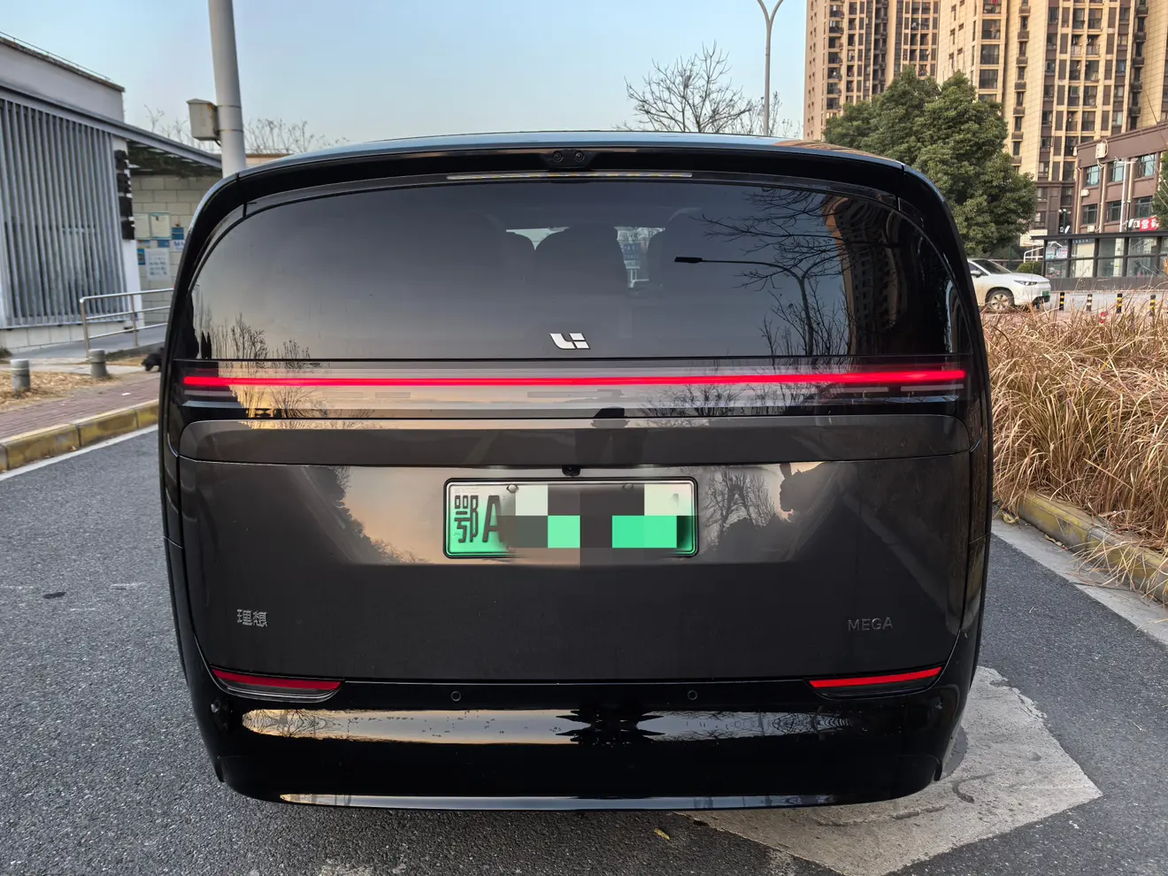 Li MEGA (Ideal MEGA)  из Китая