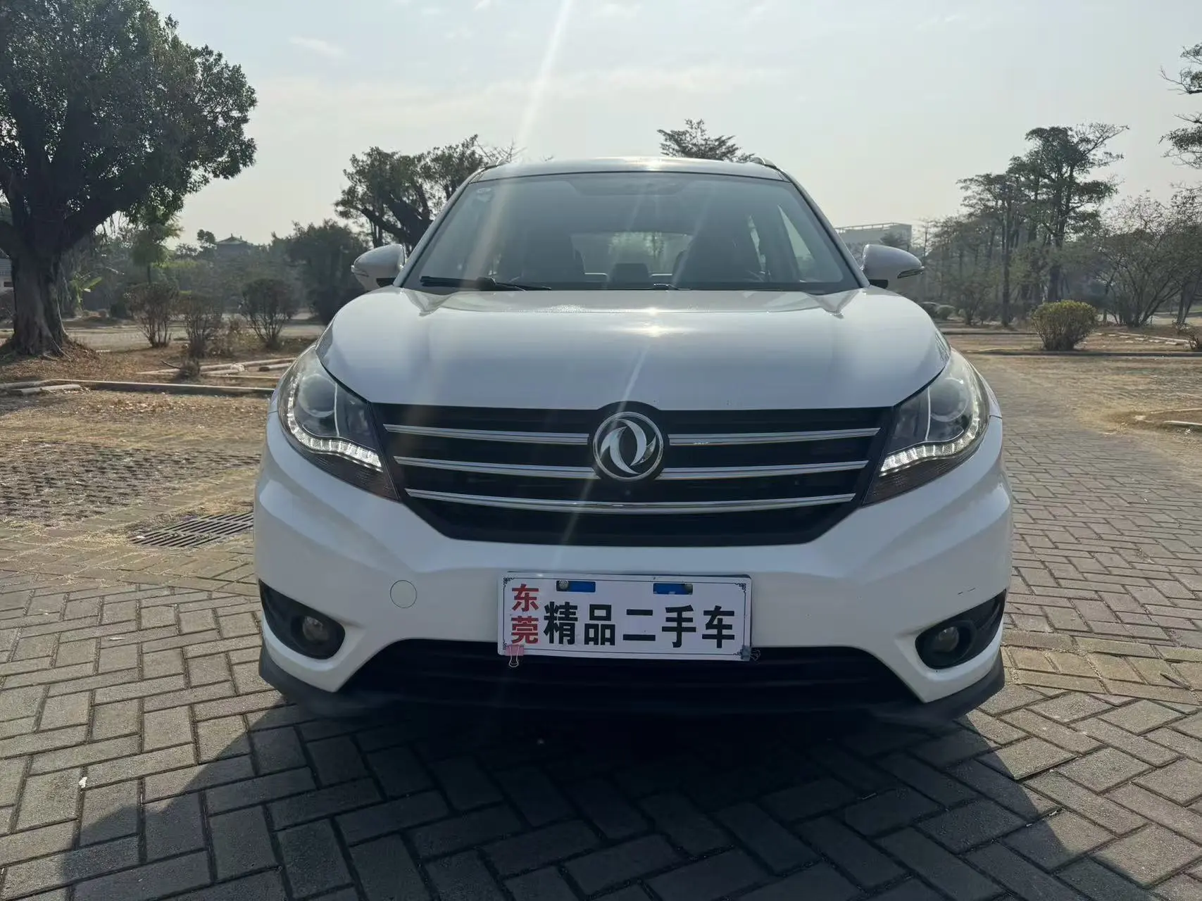 Dongfeng Fengon 580  из Китая