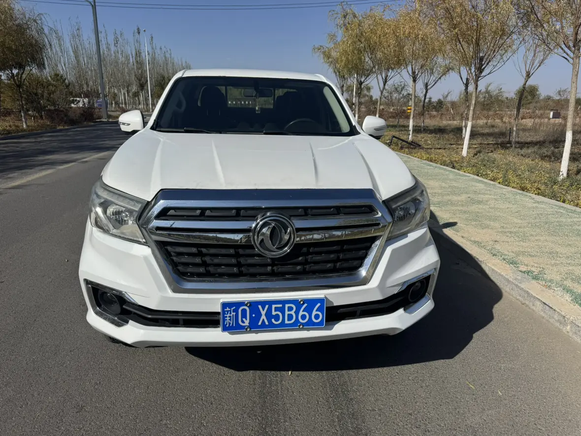 Dongfeng Ruiqi 6  из Китая