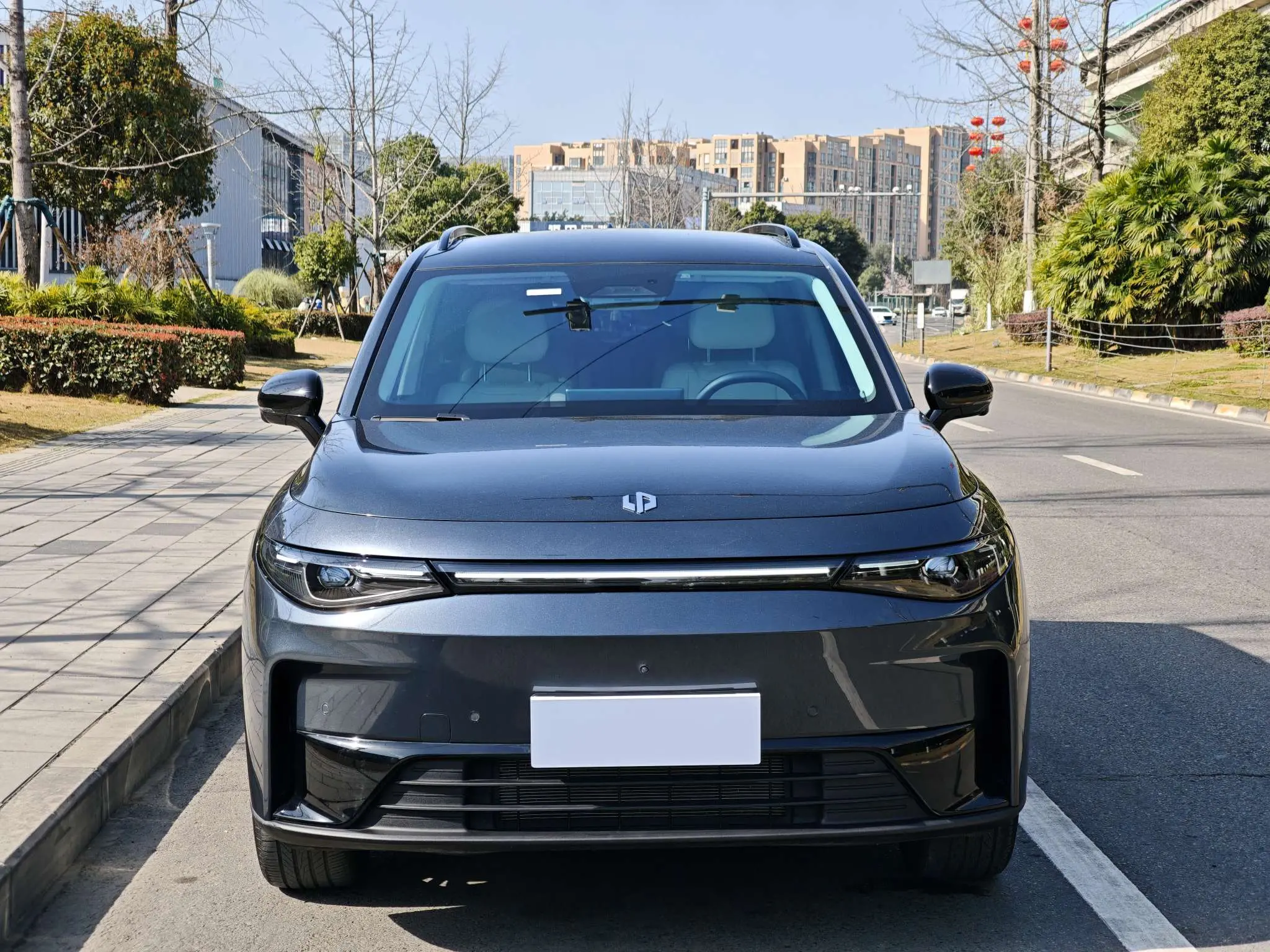 Leapmotor C16  из Китая