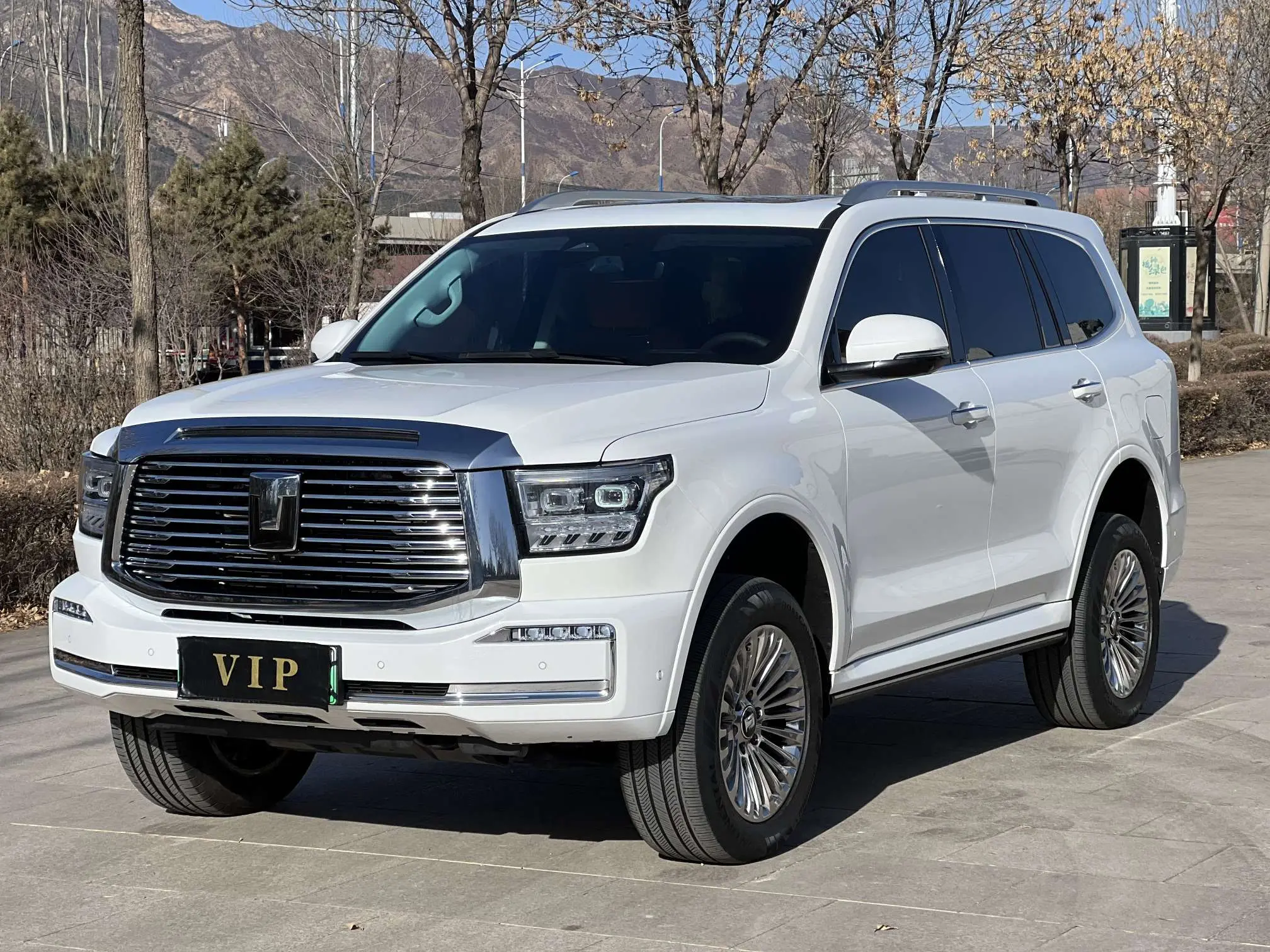 Tank 500 Hi4-T  из Китая