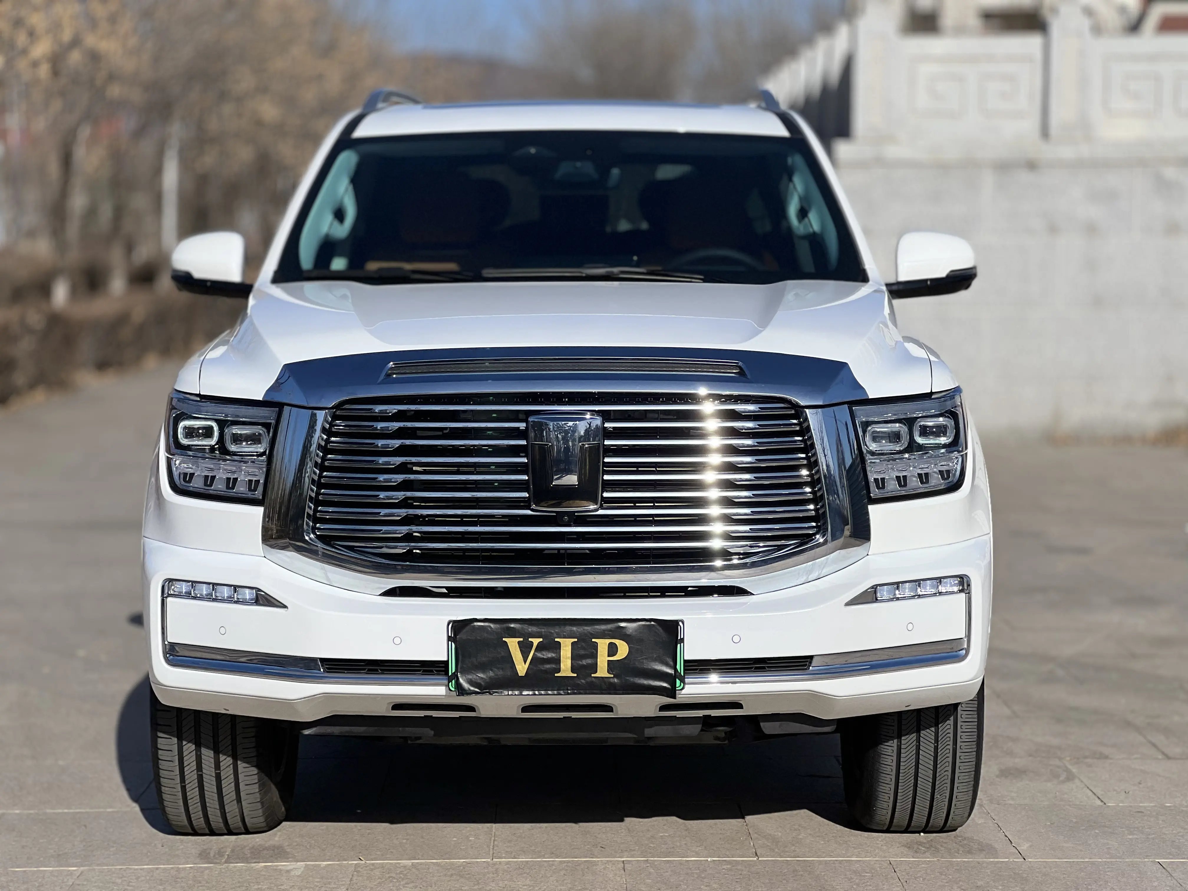 Tank 500 Hi4-T  из Китая