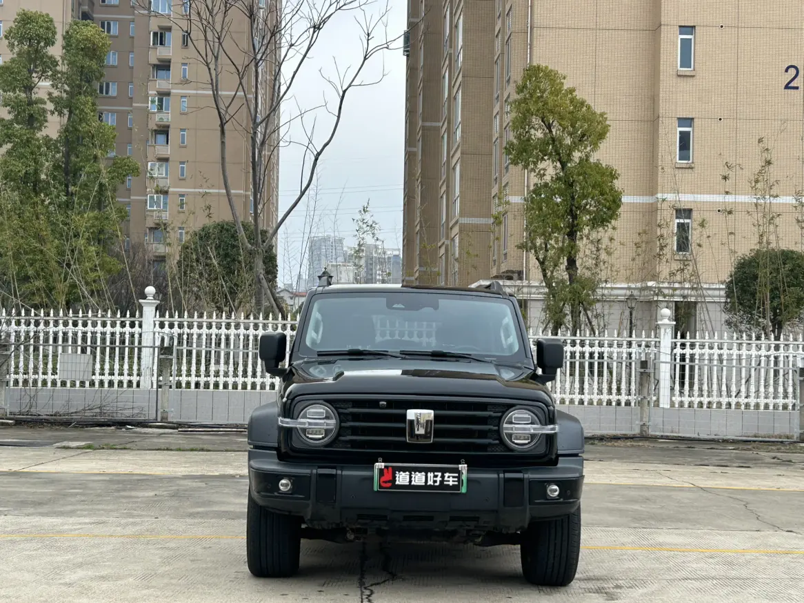 Tank 300 Hi4-T  из Китая