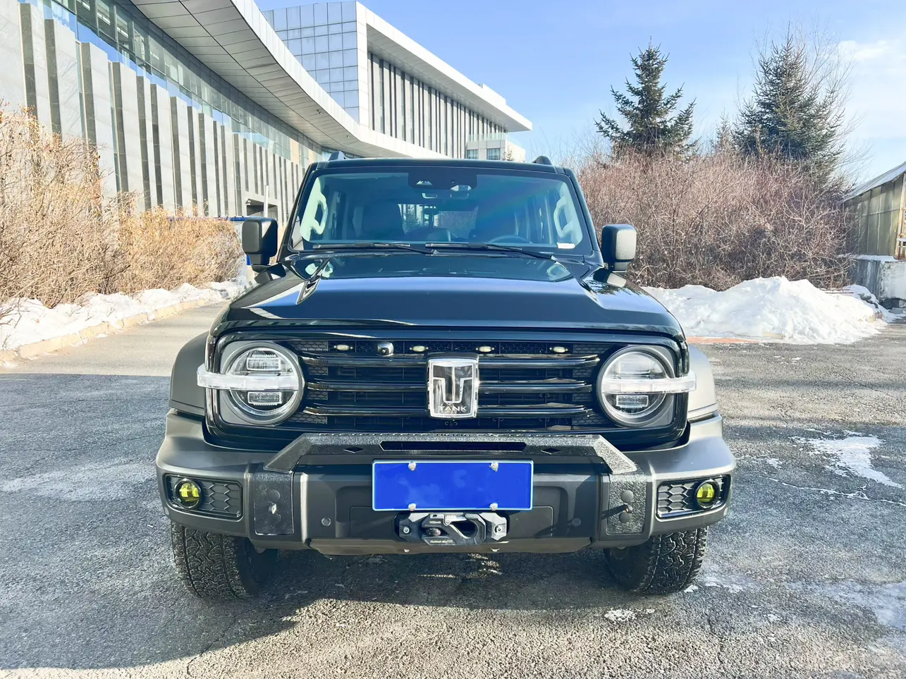 Tank 300  из Китая