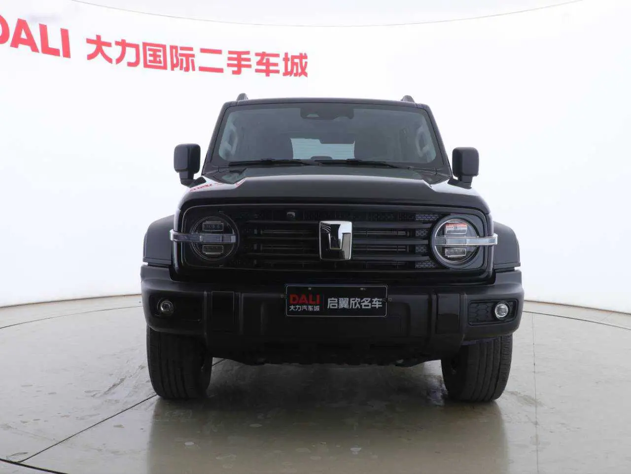 Tank 300  из Китая