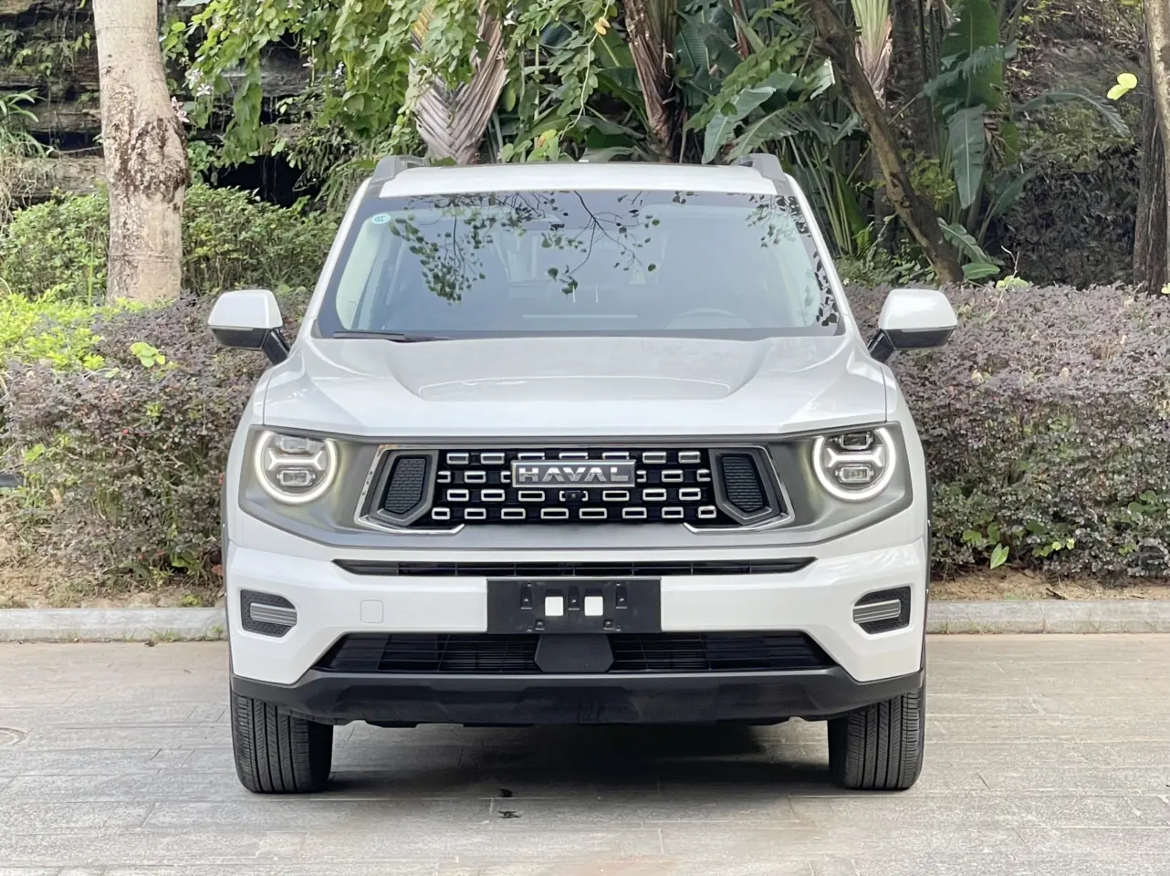 Haval Big Dog PLUS  из Китая