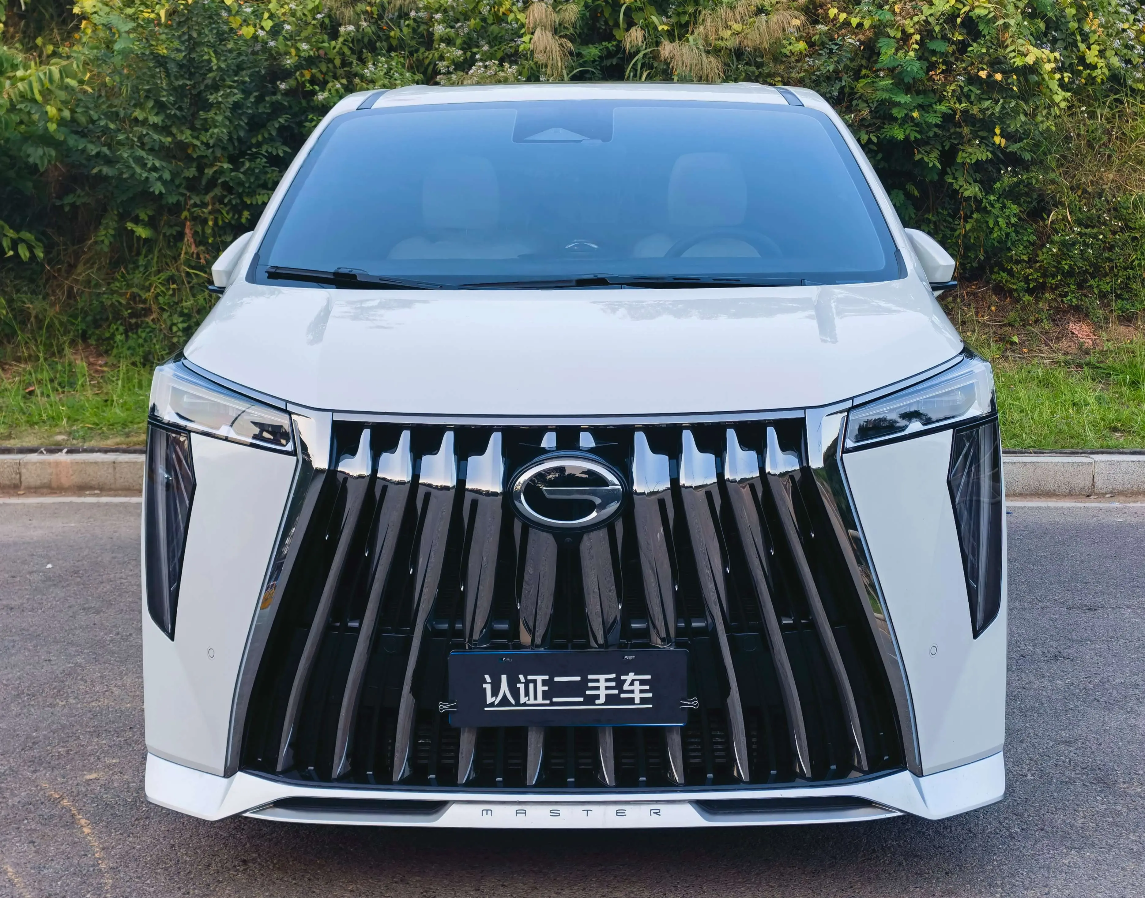 GAC Trumpchi M8  из Китая