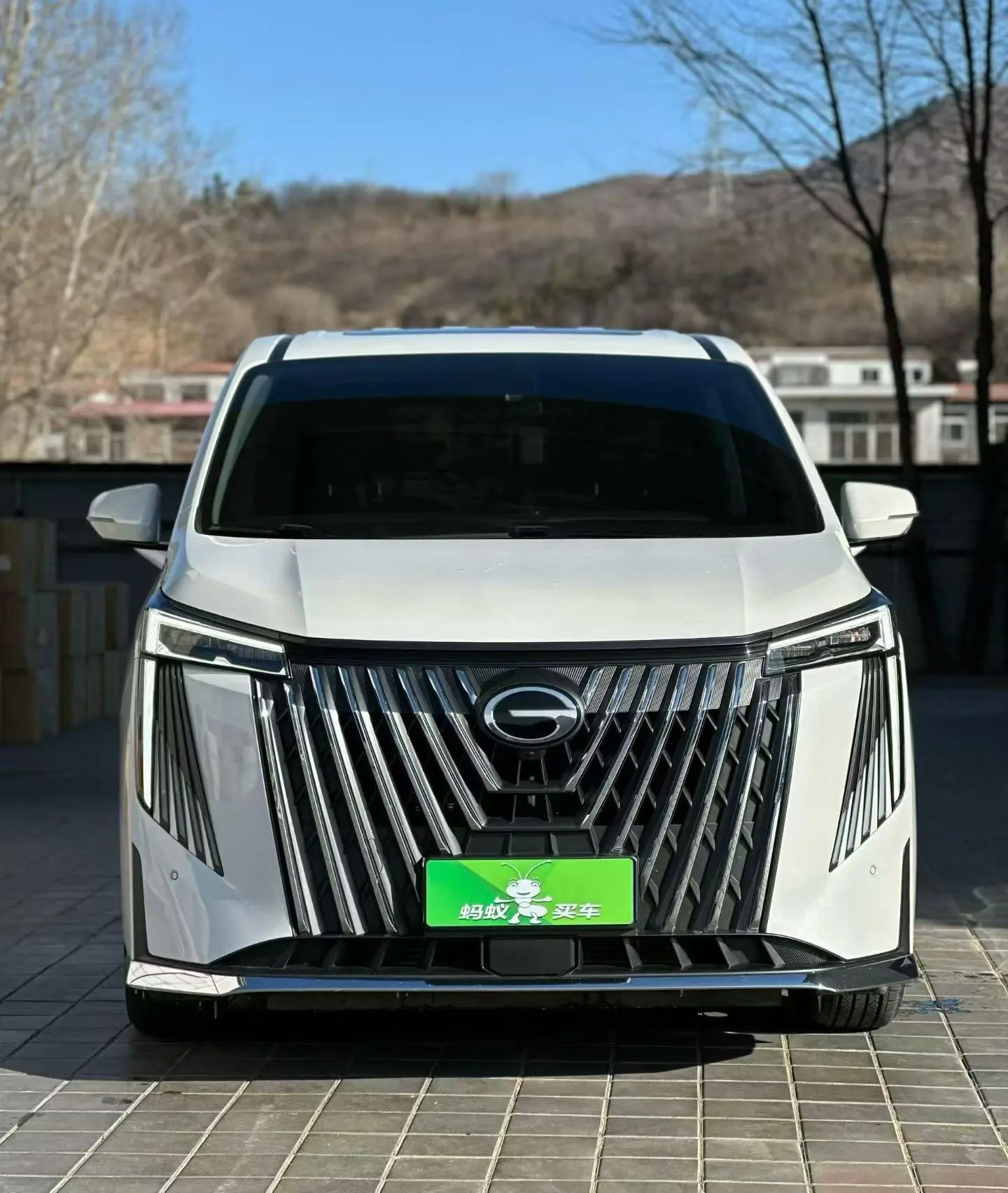 GAC Trumpchi M8  из Китая