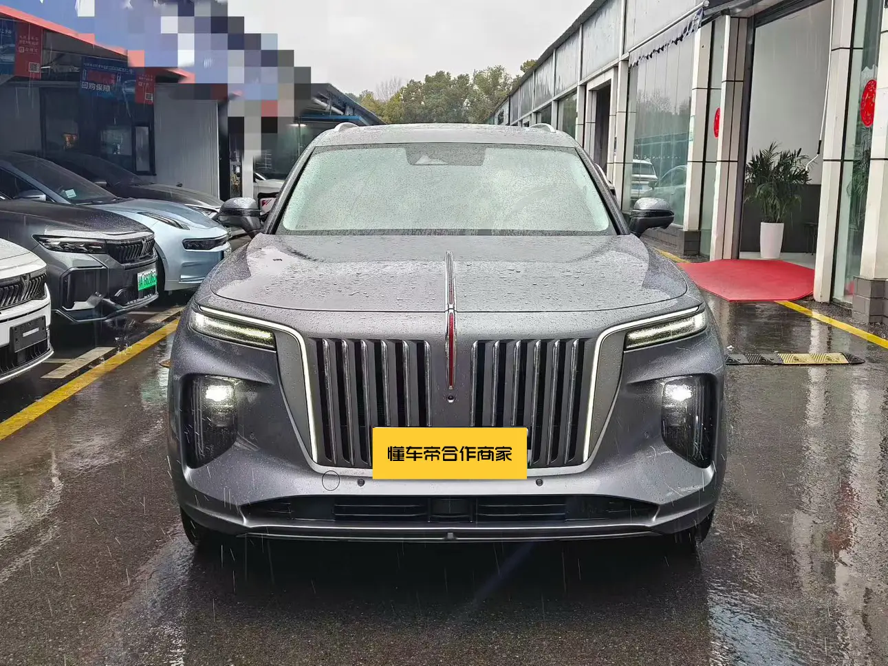 Hongqi E-HS9  из Китая