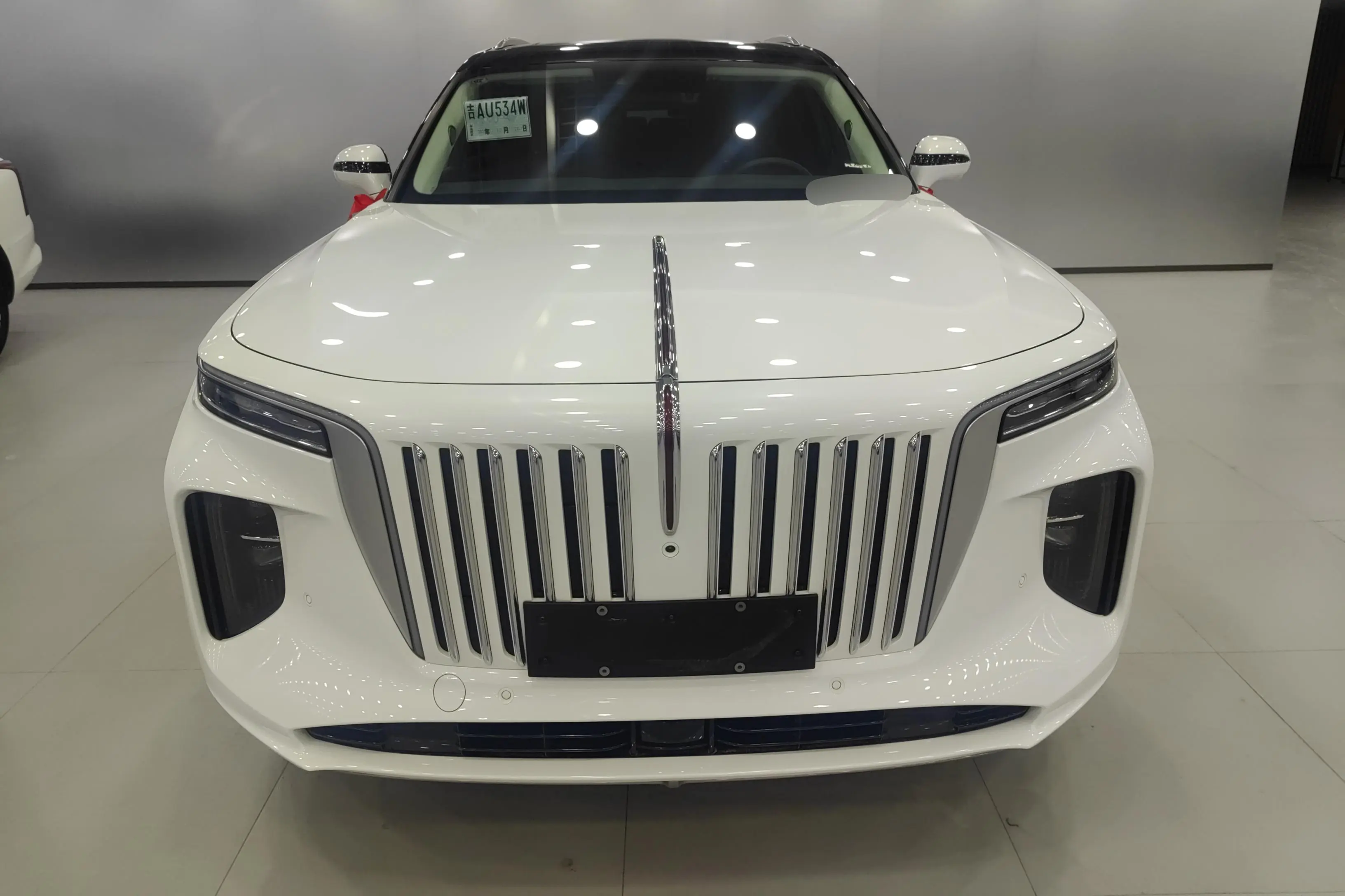 Hongqi E-HS9  из Китая