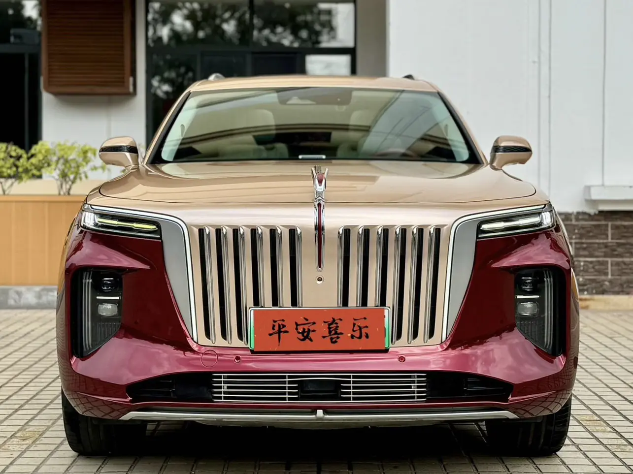 Hongqi E-HS9  из Китая