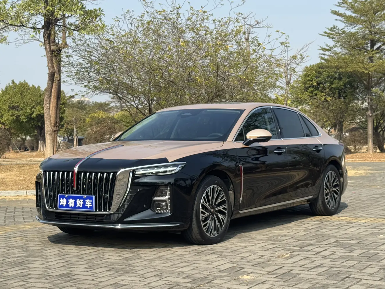 Hongqi H5  из Китая
