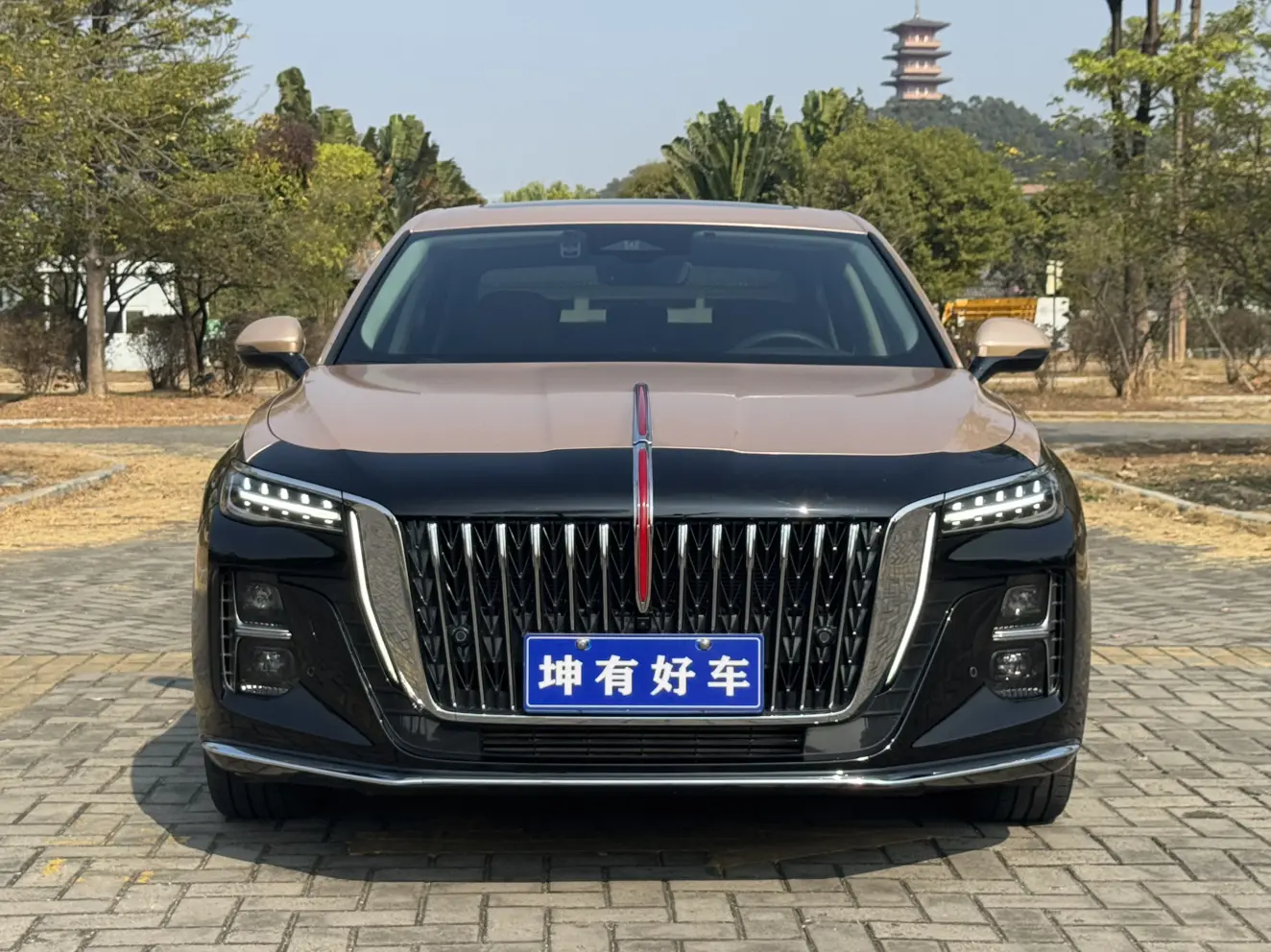 Hongqi H5  из Китая