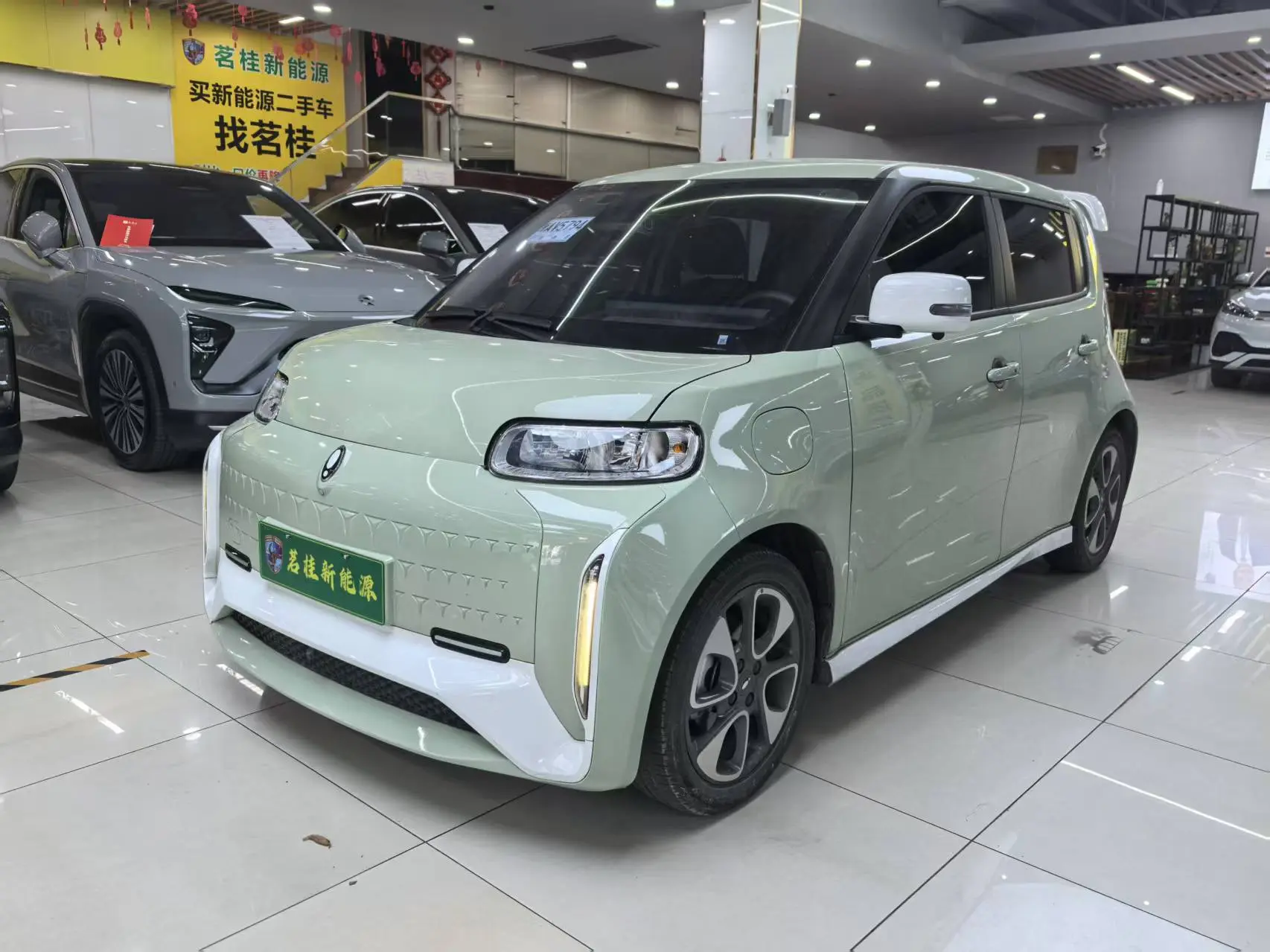 ORA Euler white cat  из Китая