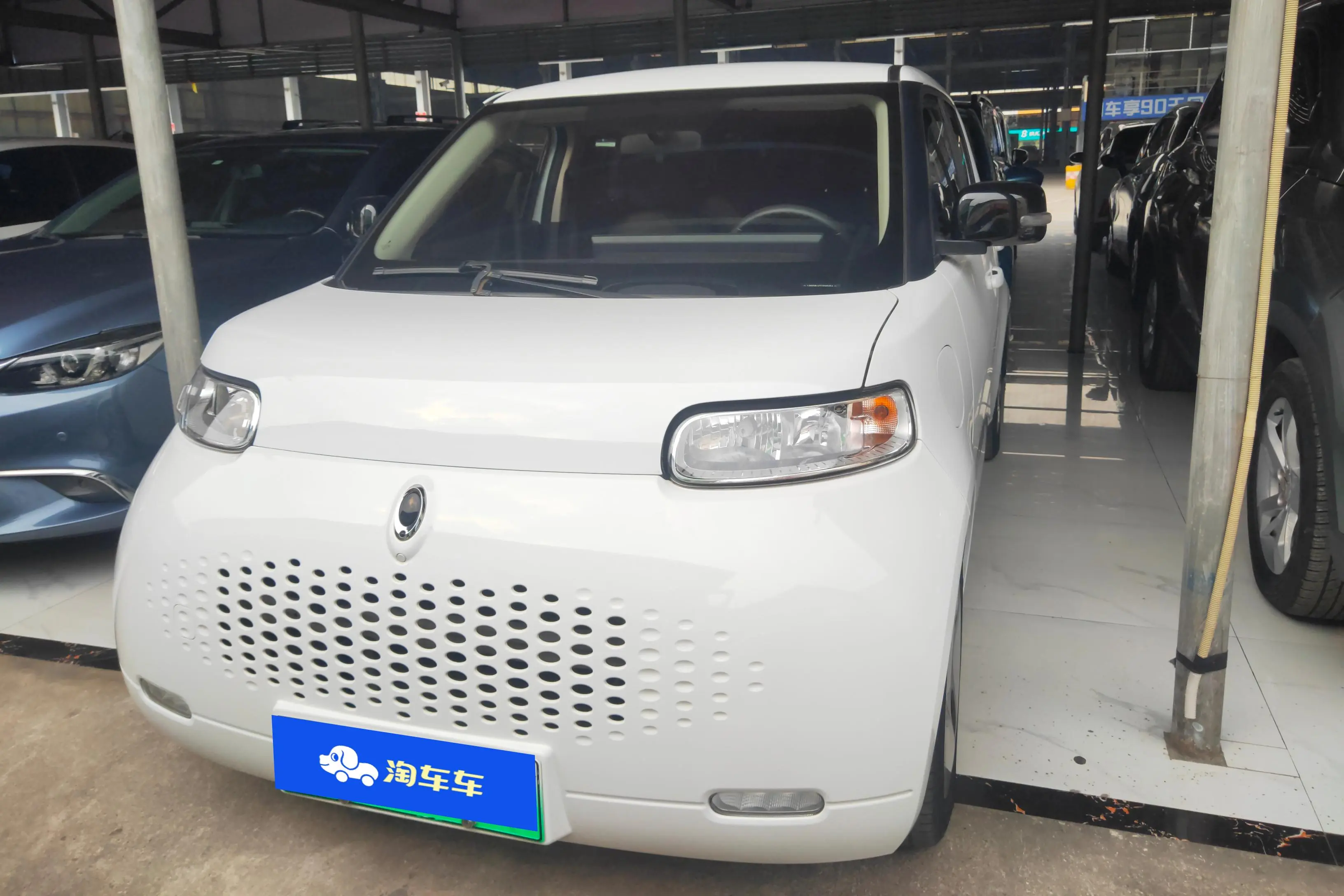 ORA Euler white cat  из Китая