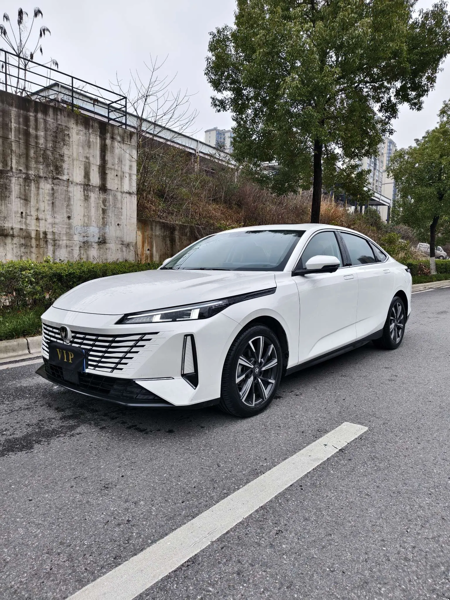 Changan Escape  из Китая