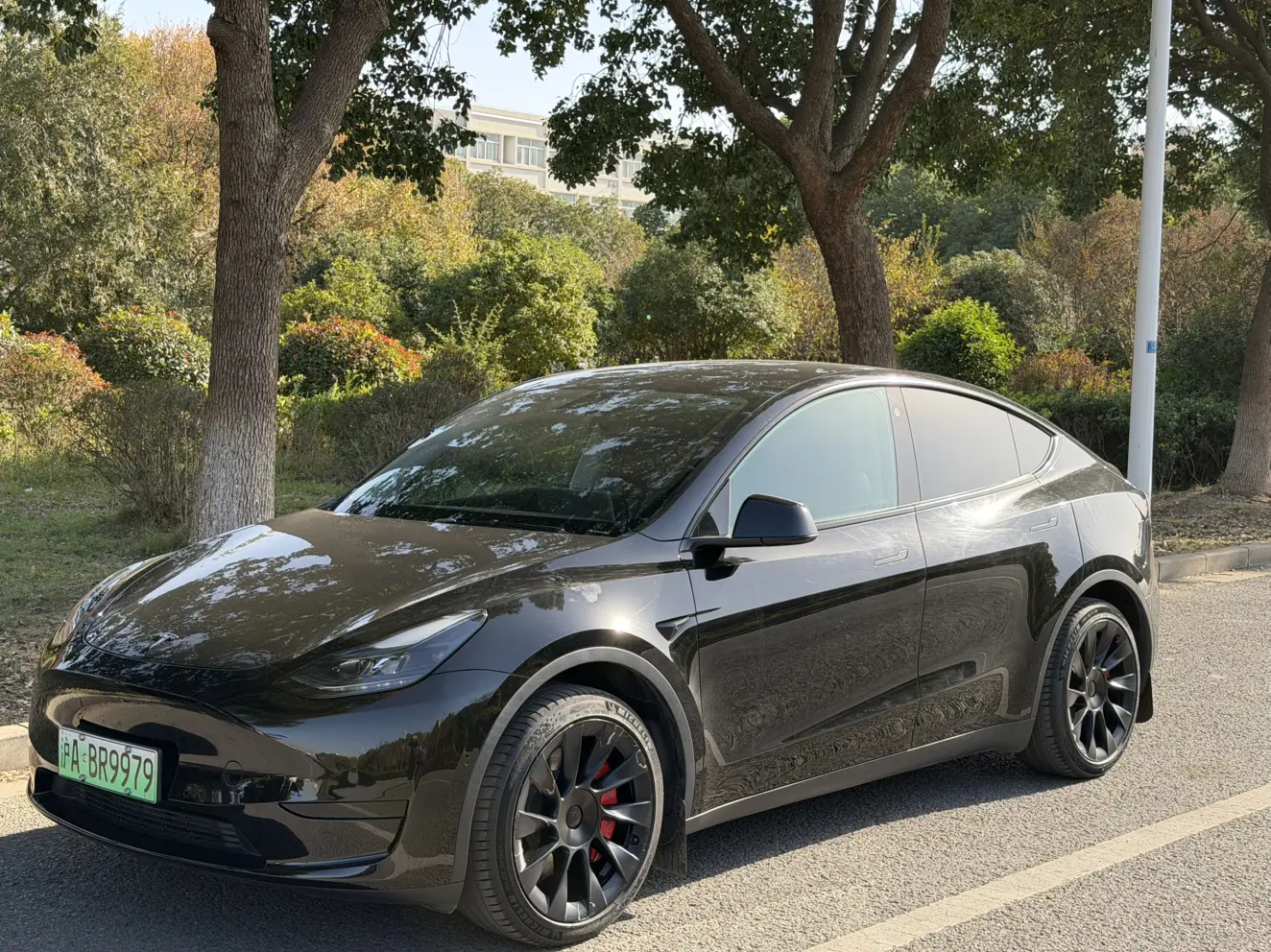 Tesla Model Y  из Китая