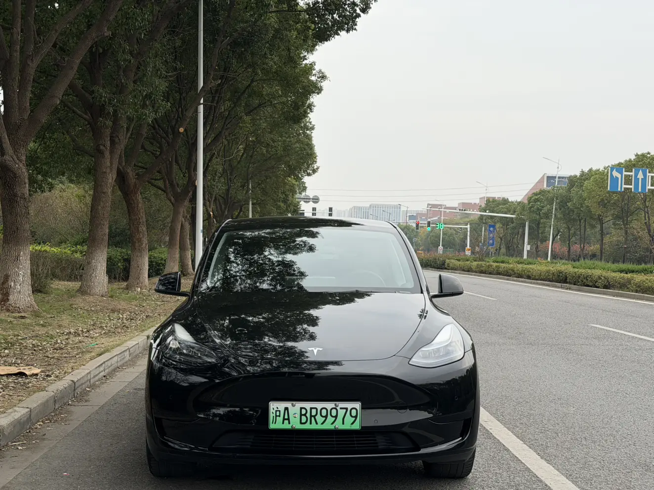Tesla Model Y  из Китая