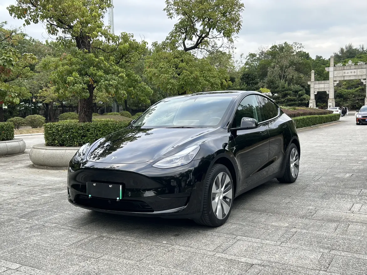 Tesla Model Y  из Китая