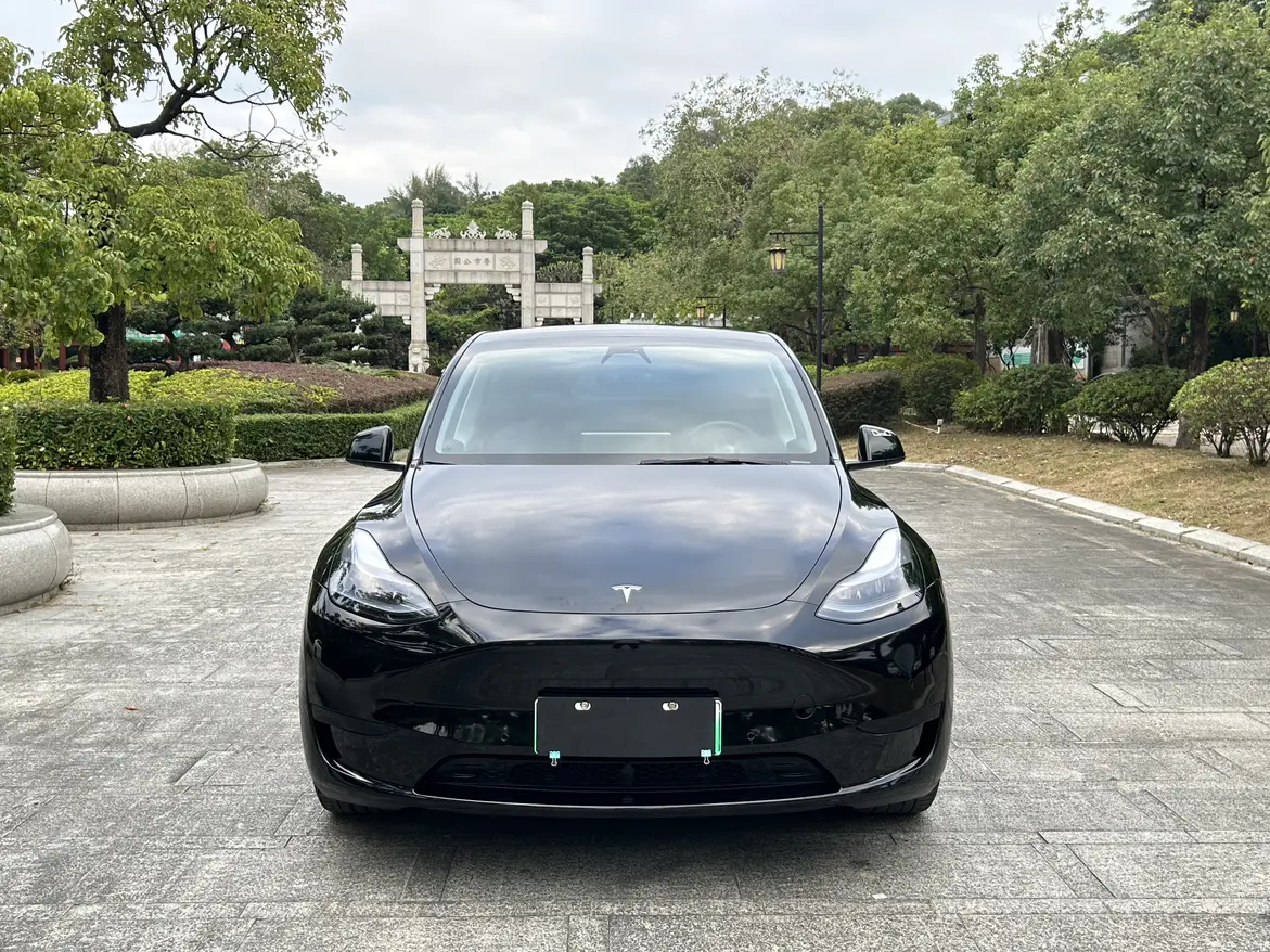 Tesla Model Y  из Китая