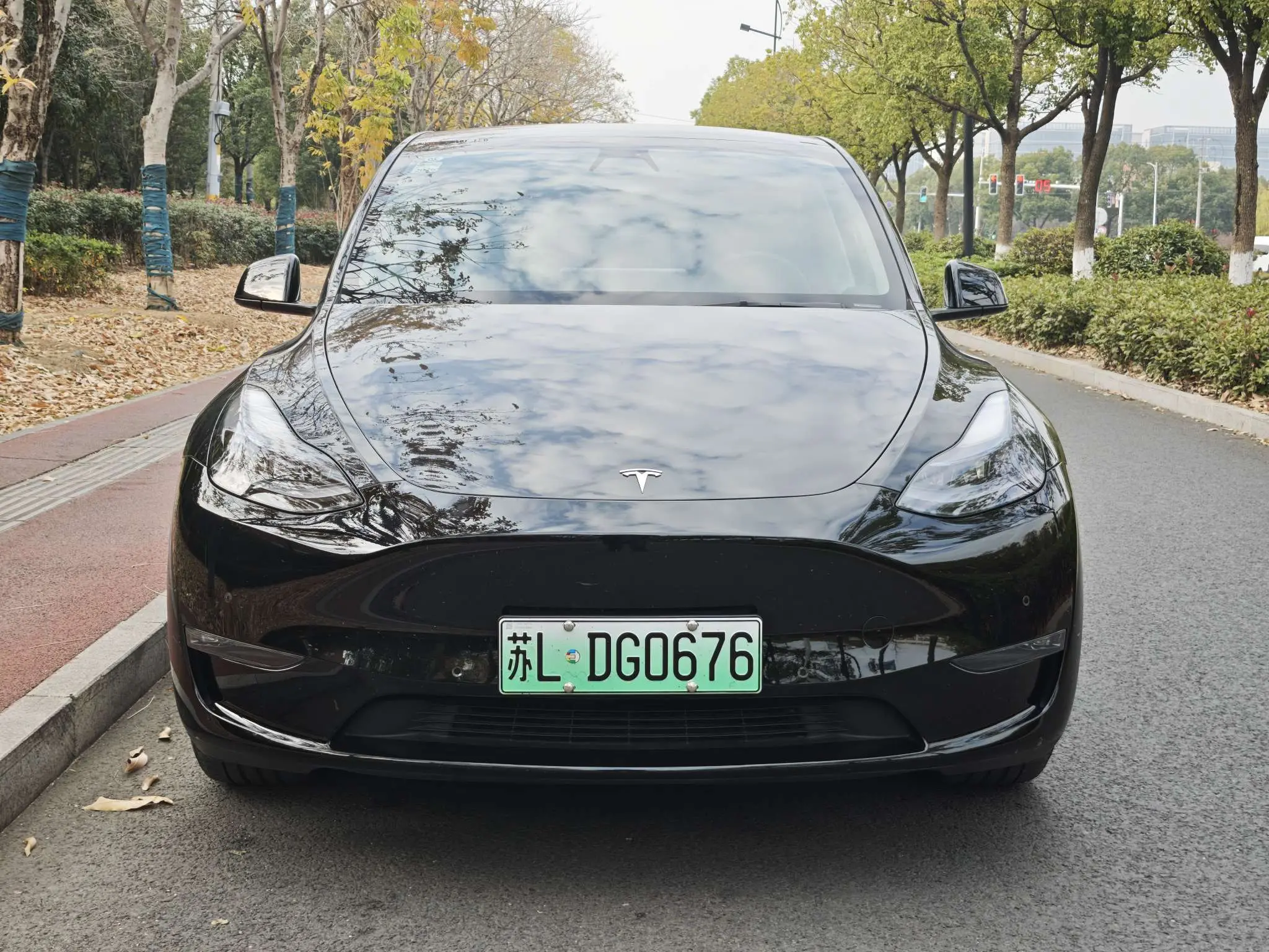 Tesla Model Y  из Китая