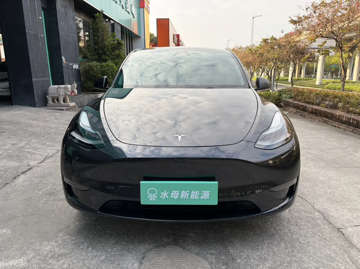 Tesla Model Y  из Китая
