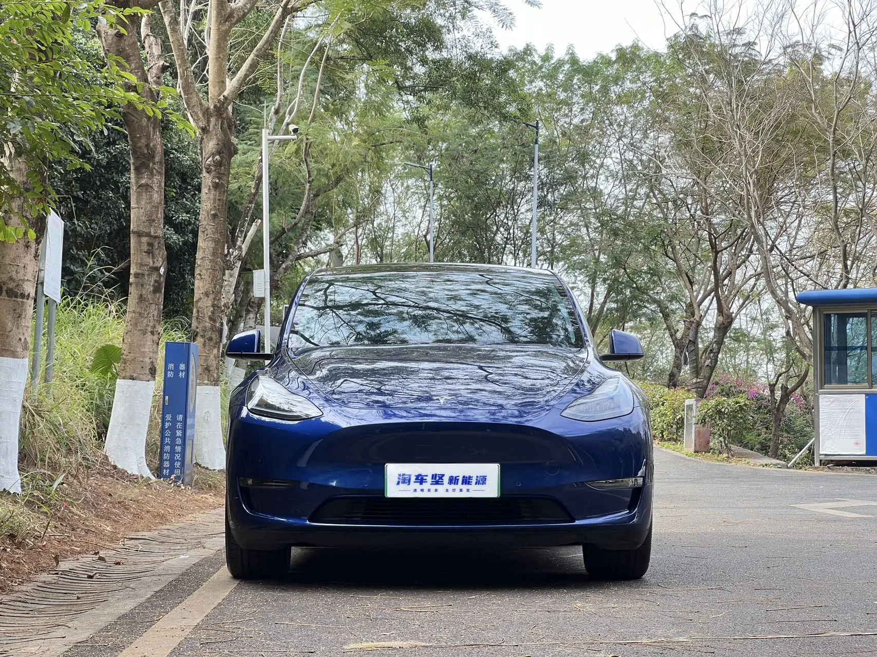 Tesla Model Y  из Китая