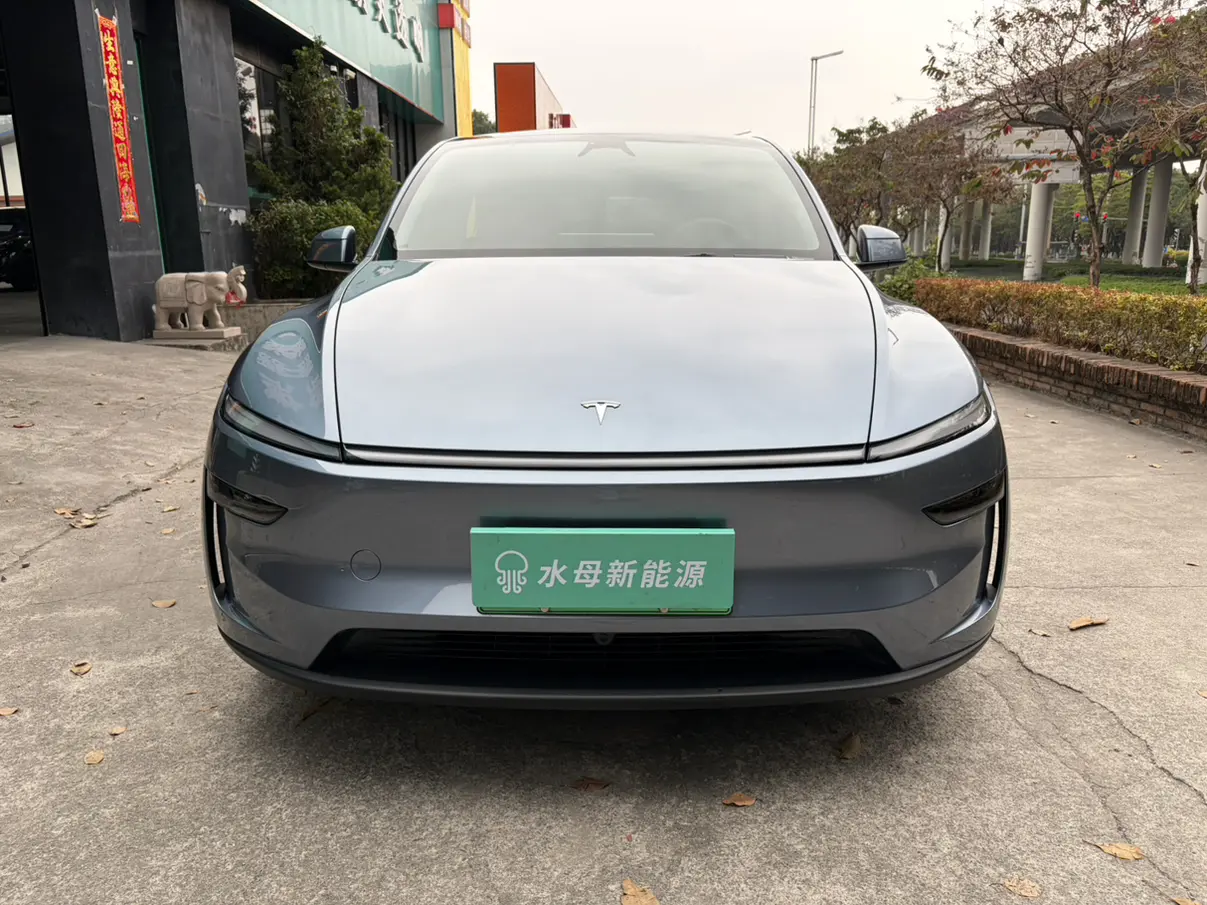 Tesla Model Y  из Китая