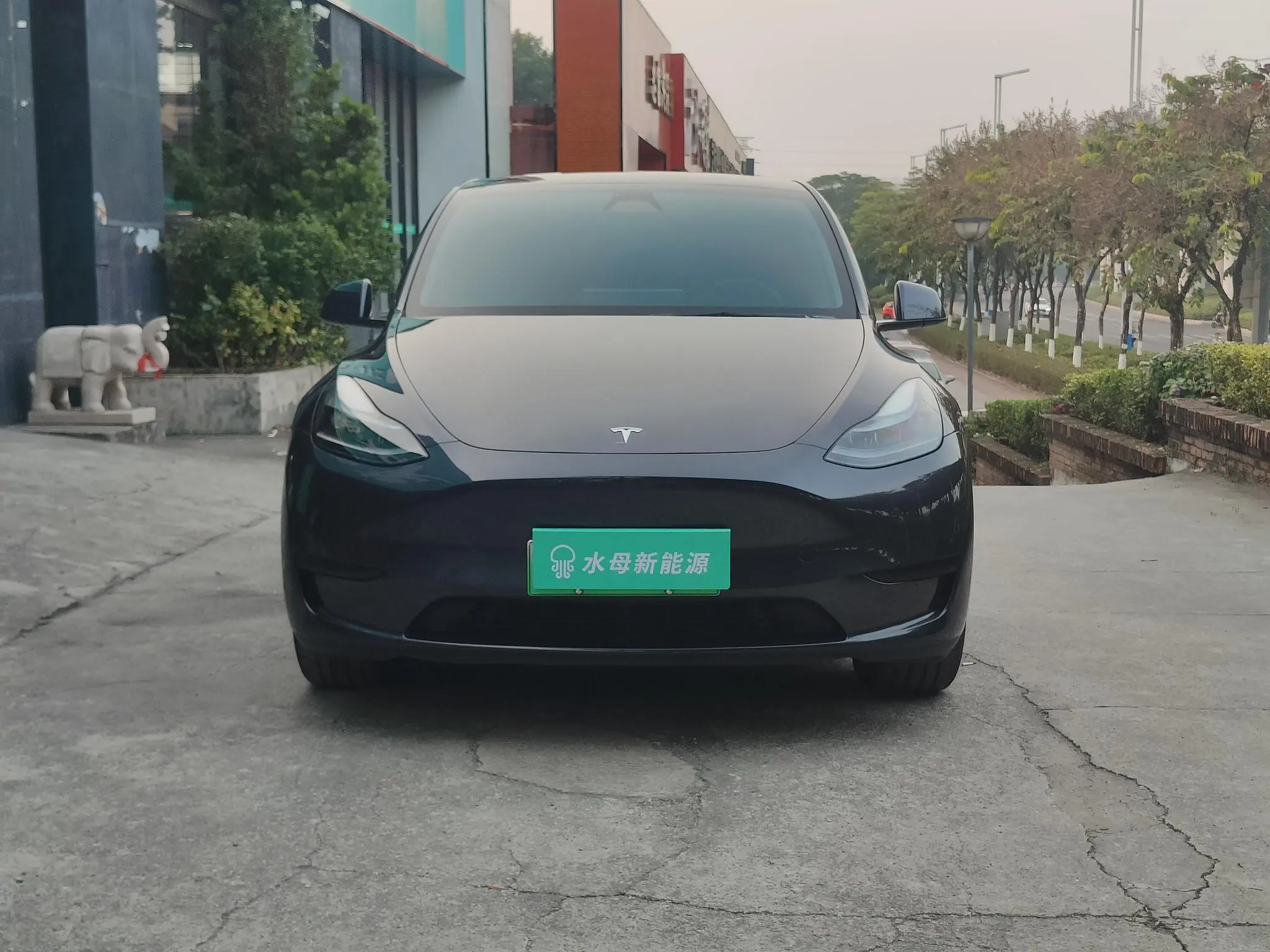 Tesla Model Y  из Китая