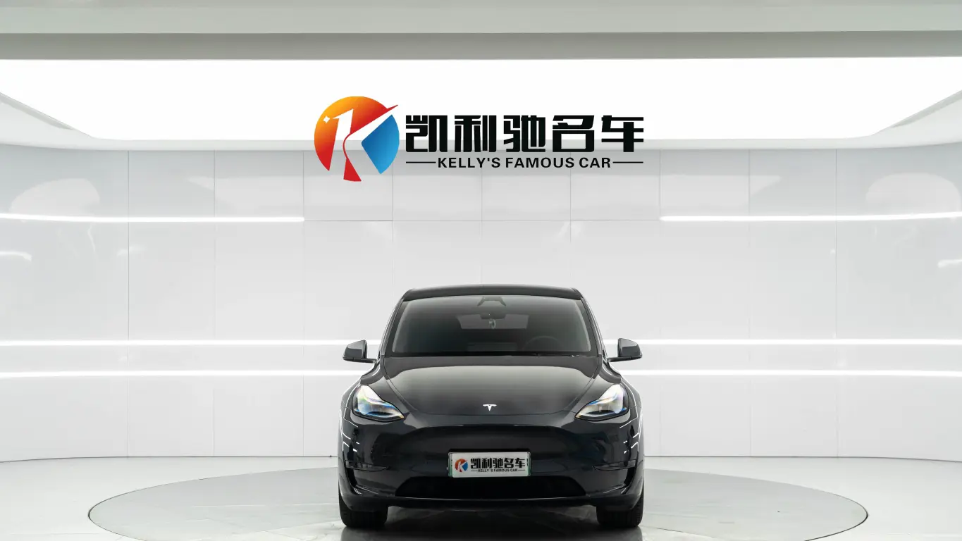 Tesla Model Y  из Китая