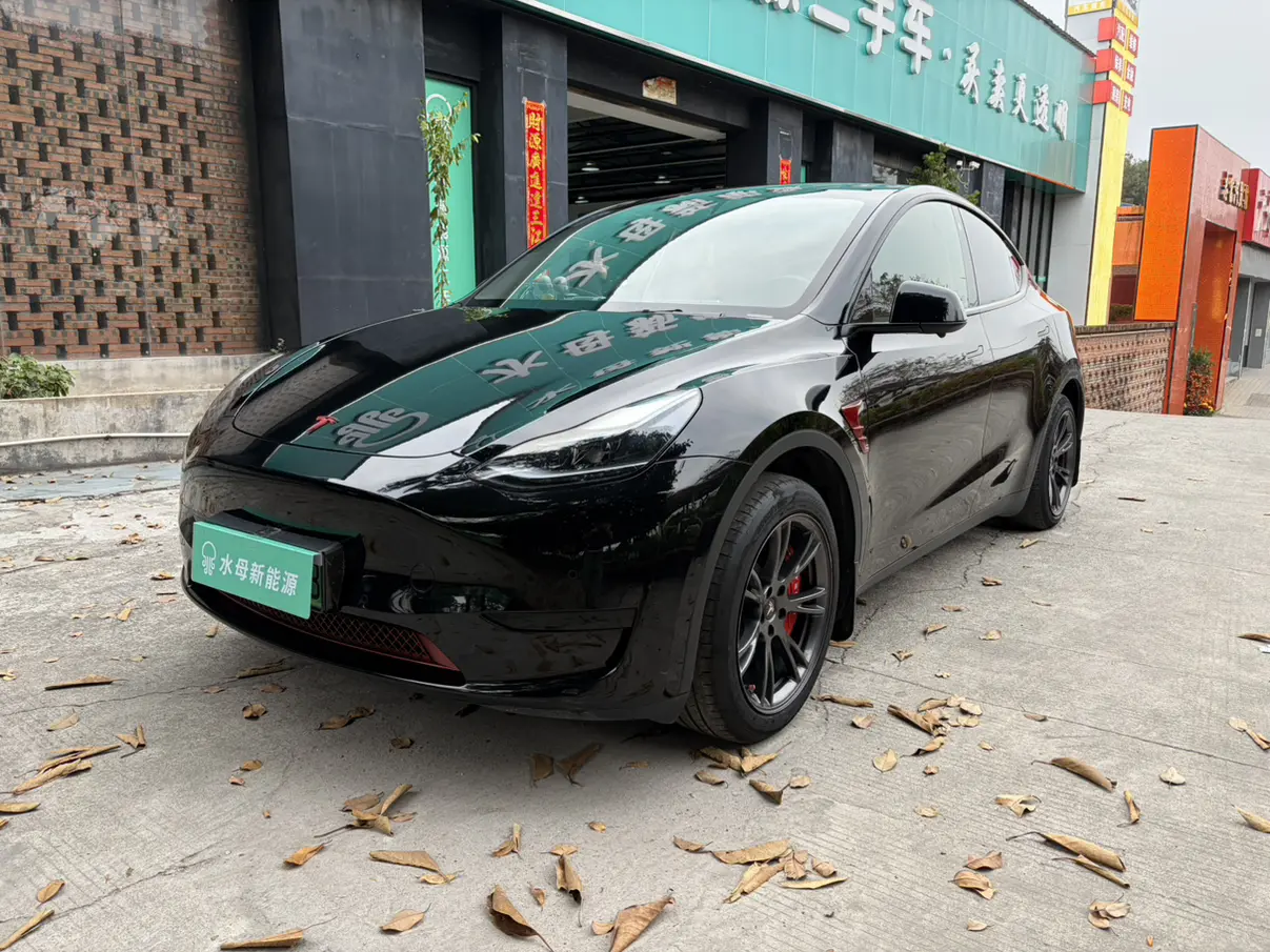 Tesla Model Y  из Китая