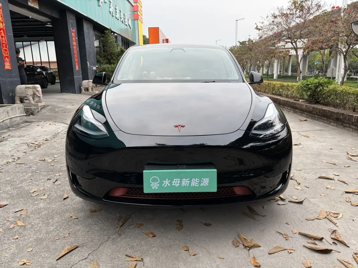 Tesla Model Y  из Китая