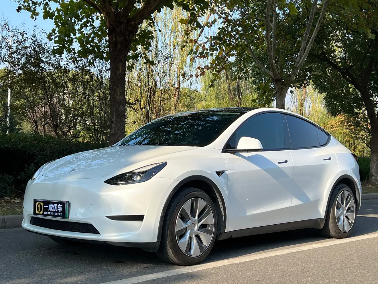 Tesla Model Y  из Китая