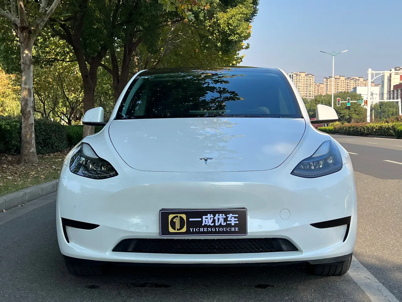 Tesla Model Y  из Китая