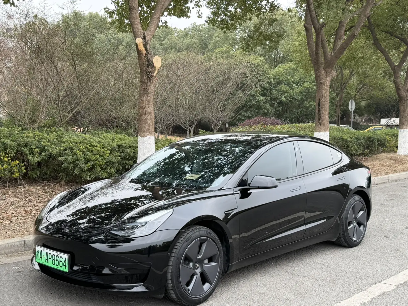Tesla Model 3  из Китая