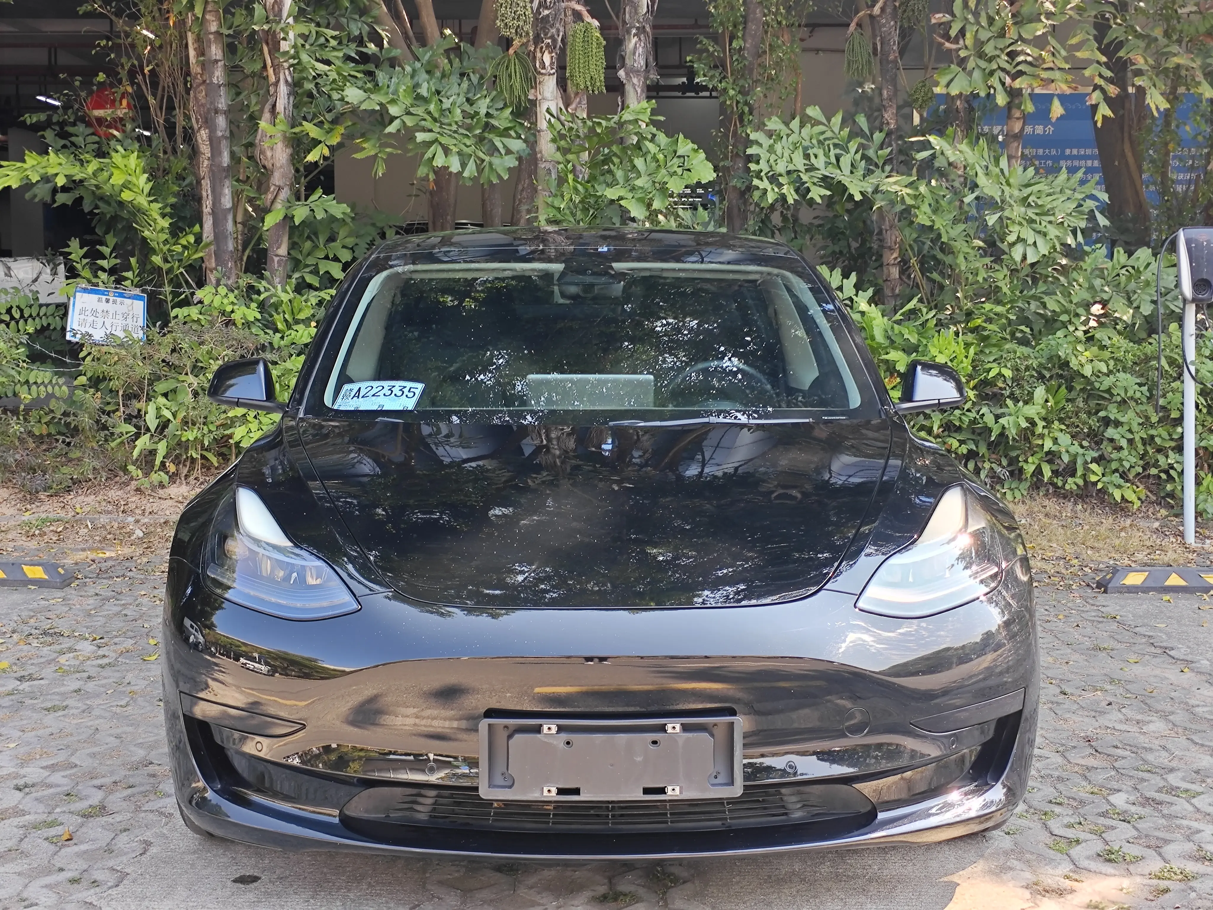 Tesla Model 3  из Китая