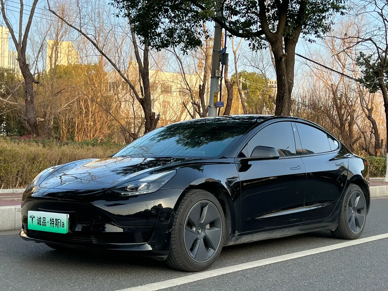 Tesla Model 3  из Китая
