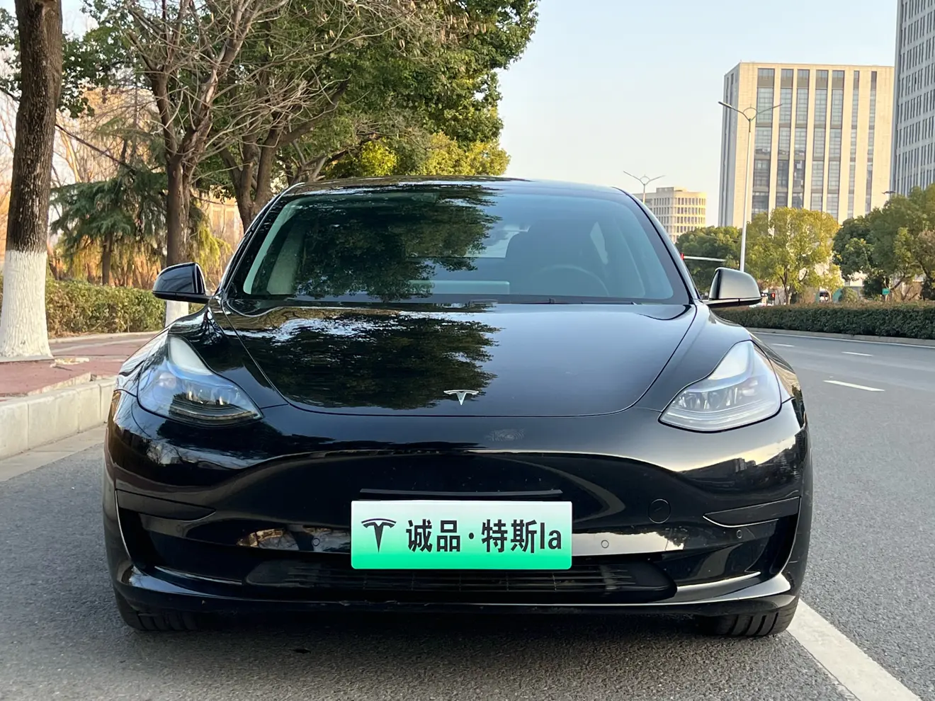 Tesla Model 3  из Китая