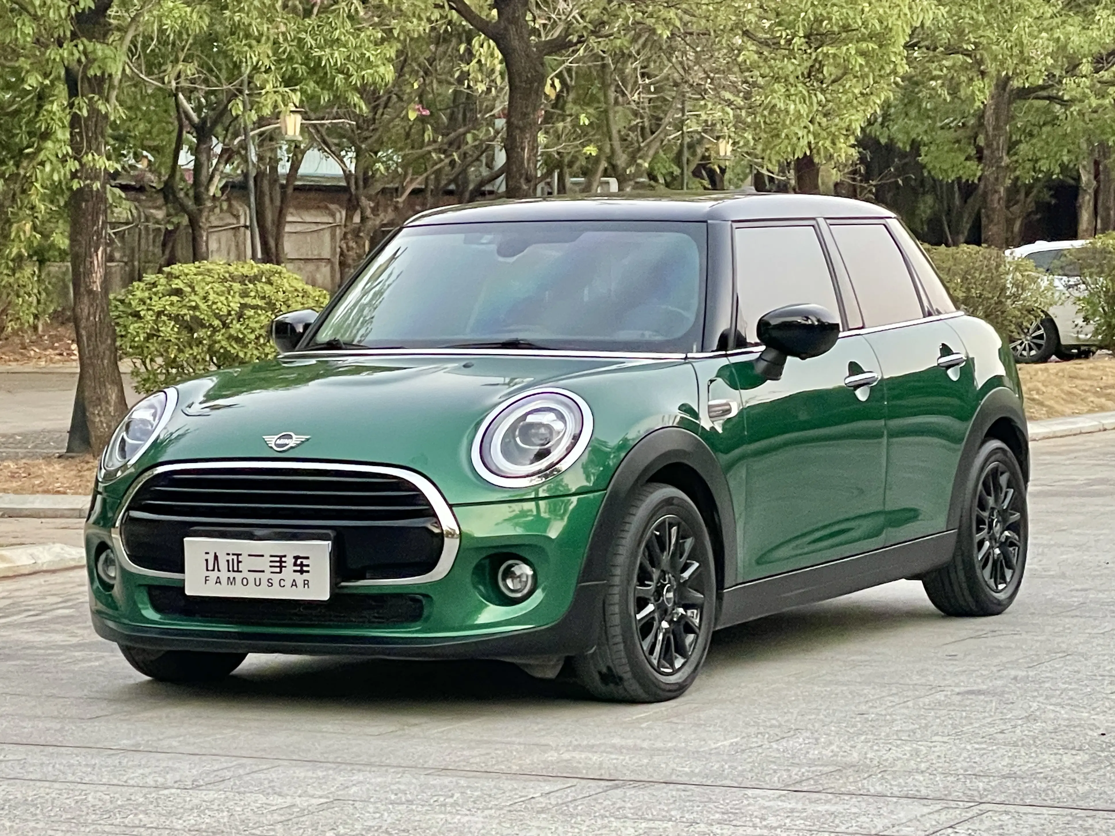 MINI MINI