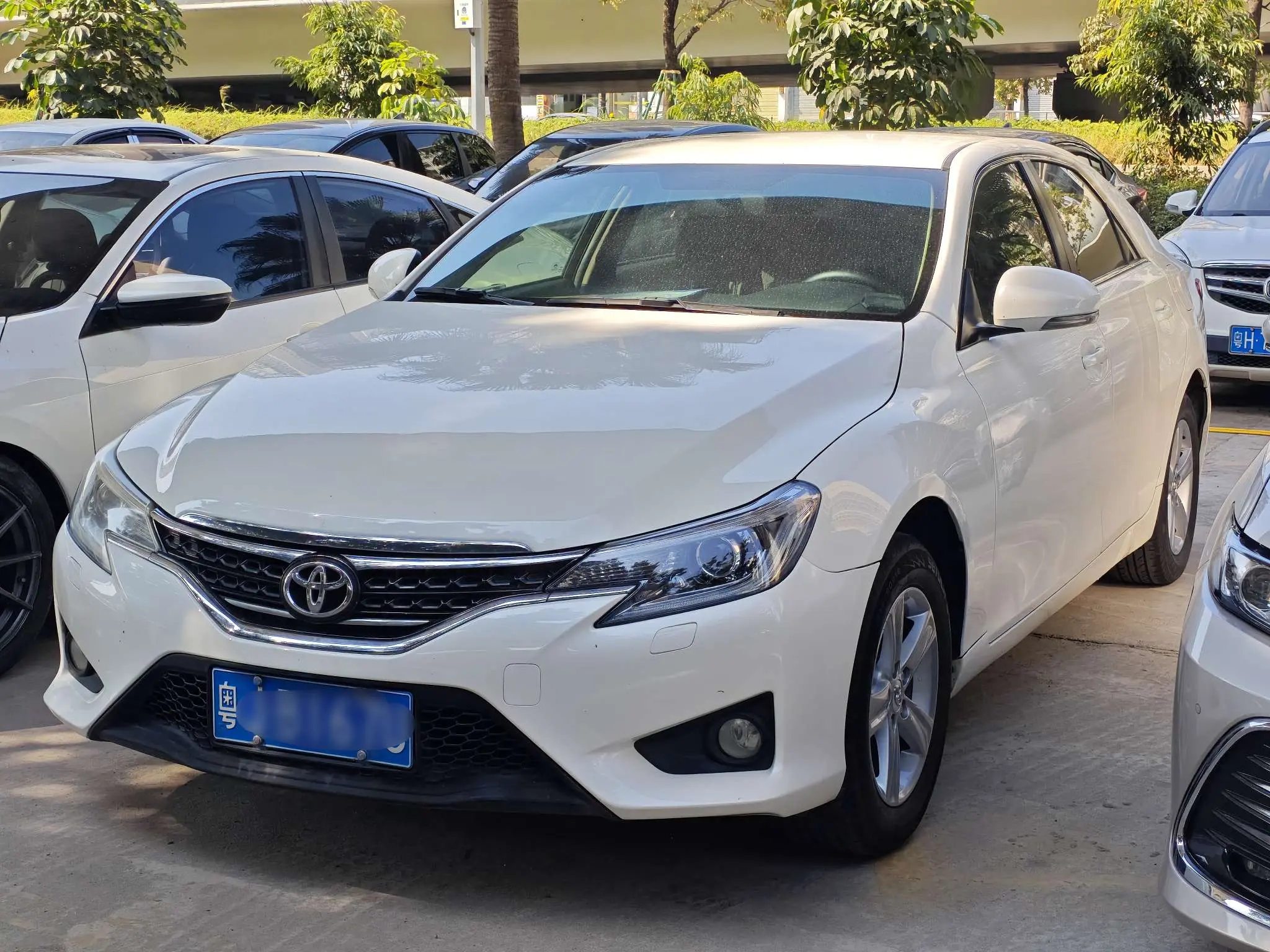 Toyota Ruizhi