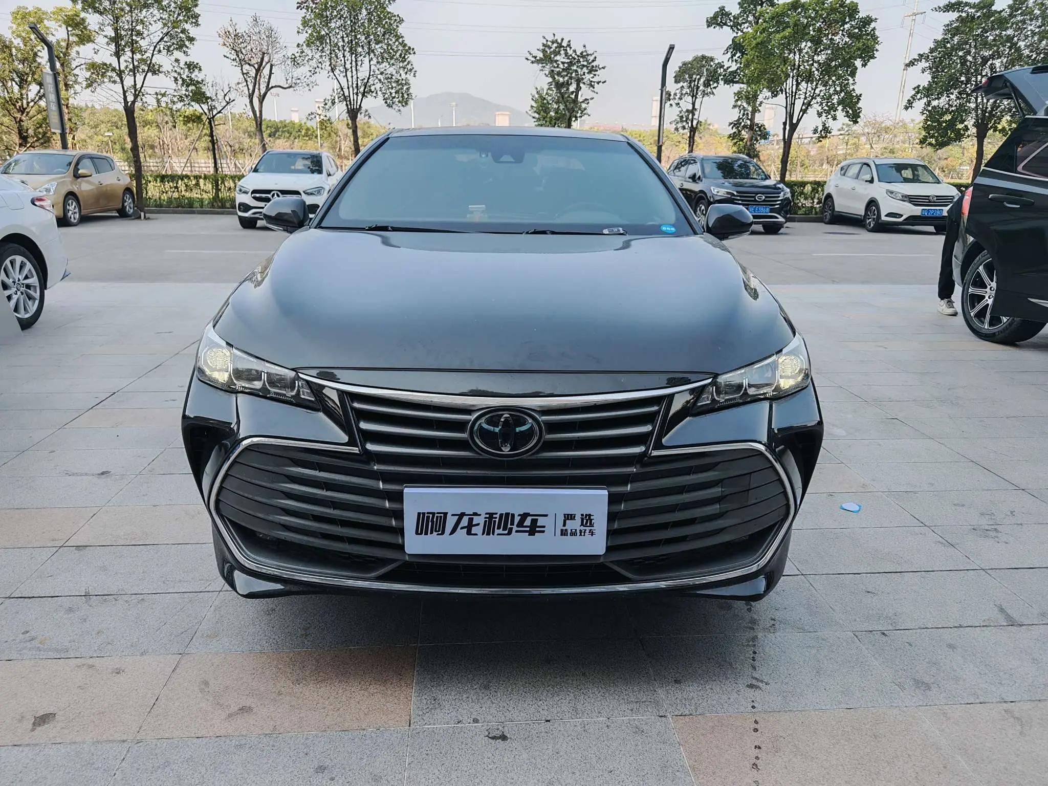 Toyota Avalon