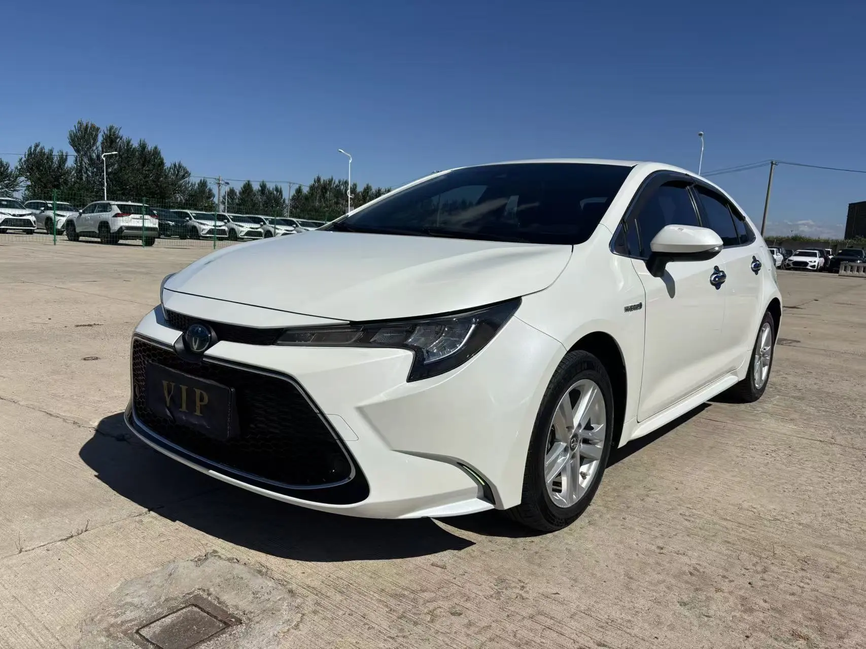 Toyota Levin