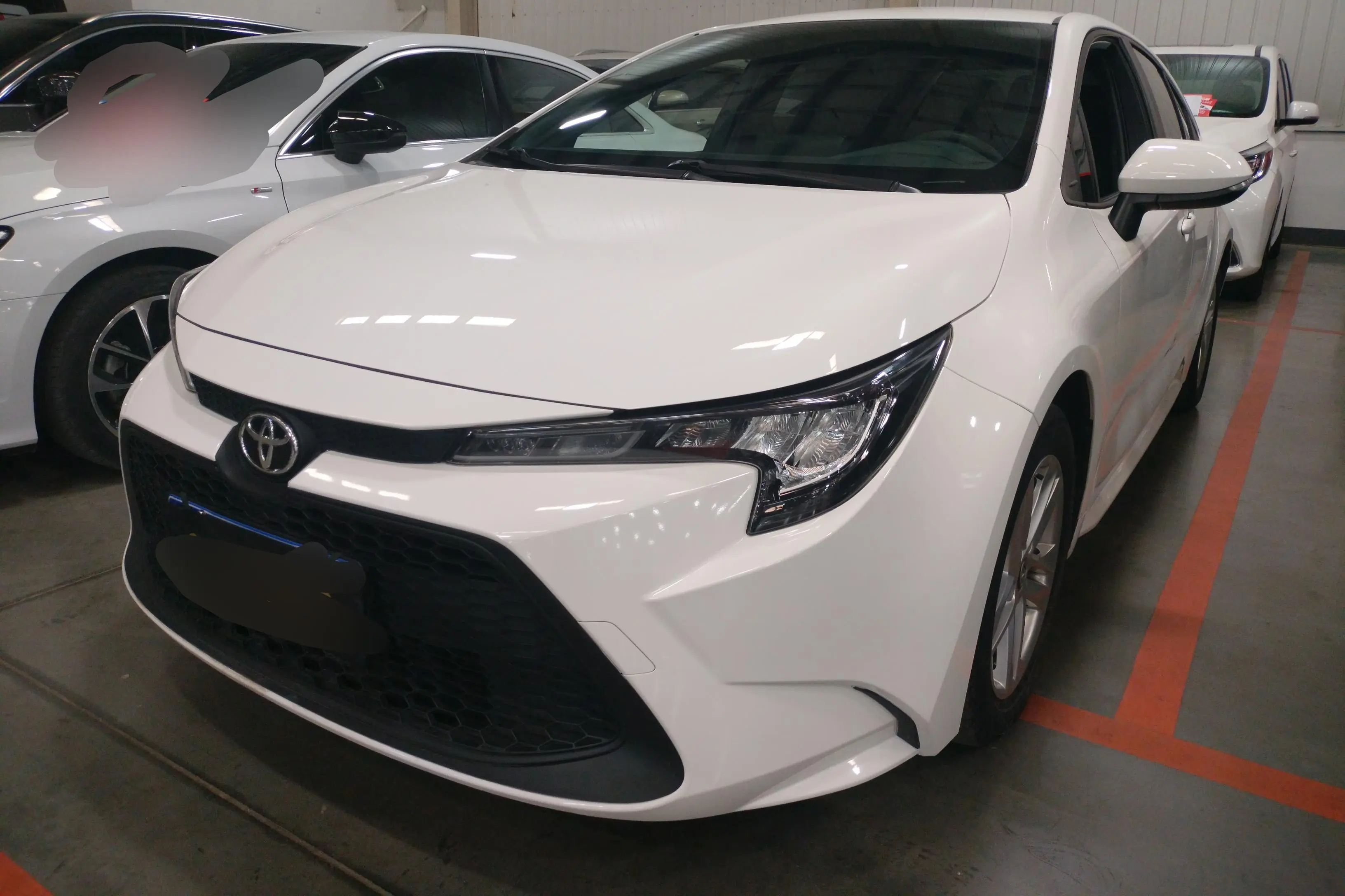 Toyota Levin
