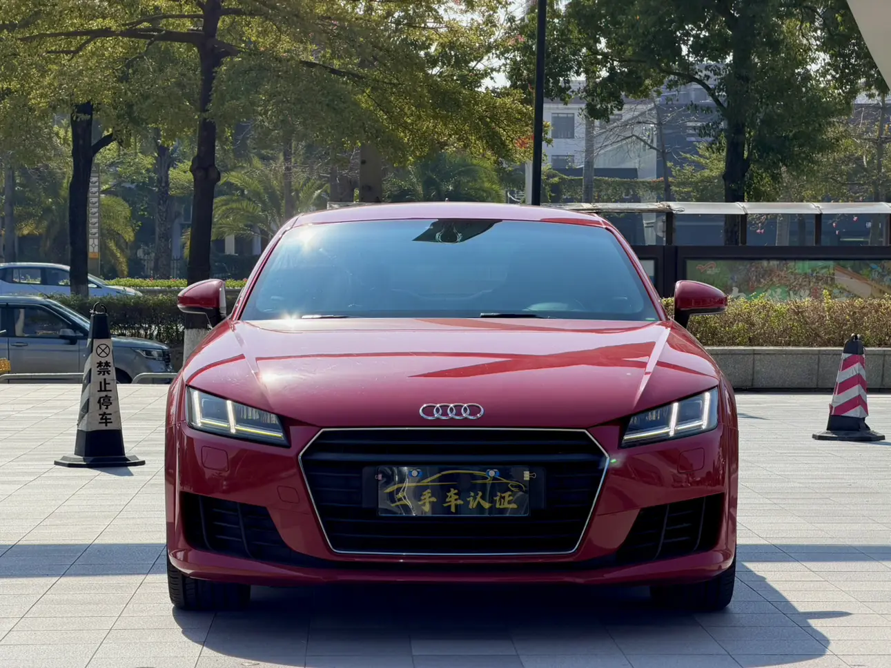 Audi TT  из Китая