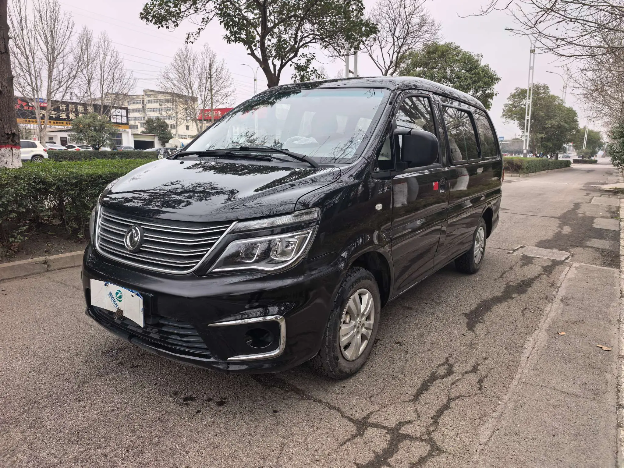 Forthing Lingzhi  из Китая