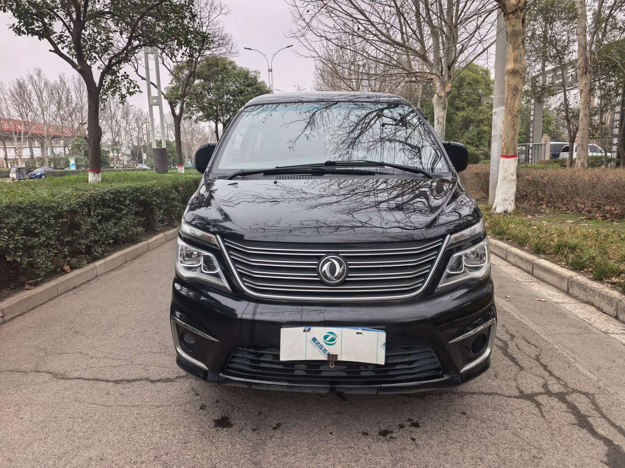 Forthing Lingzhi  из Китая